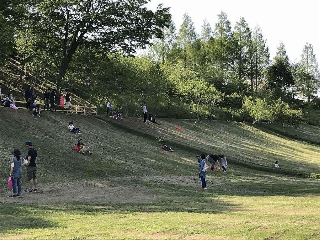 キャンプ場内にあるグラススキー場です。誰でも時間内（9：00～16：00）であれば自由に利用することができます。料金はかかりません。受付にはレンタルのソリもあります。