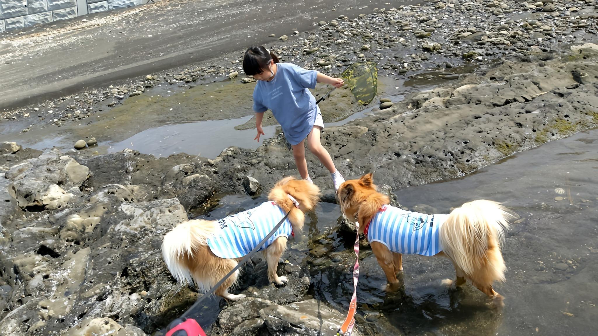 ・目の前の海では愛犬と磯遊びや海水浴が楽しめます♪