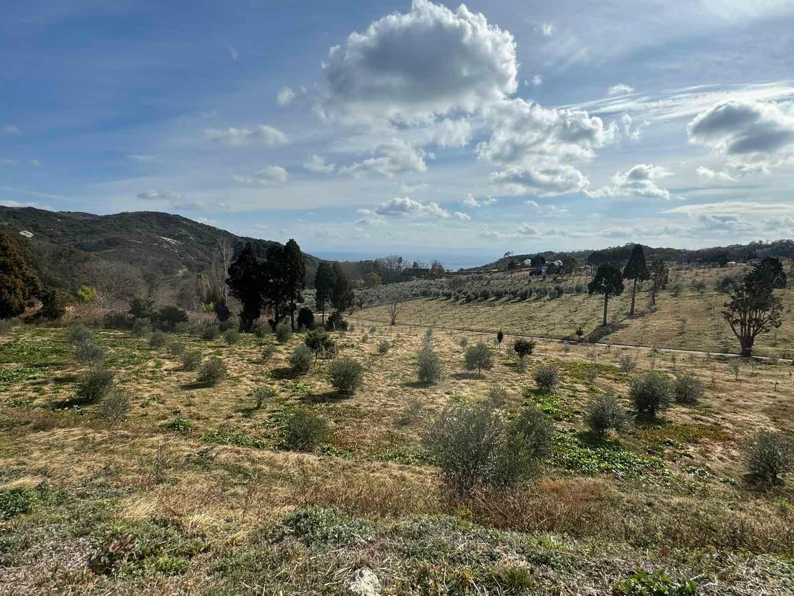 キャンプ場からの景色