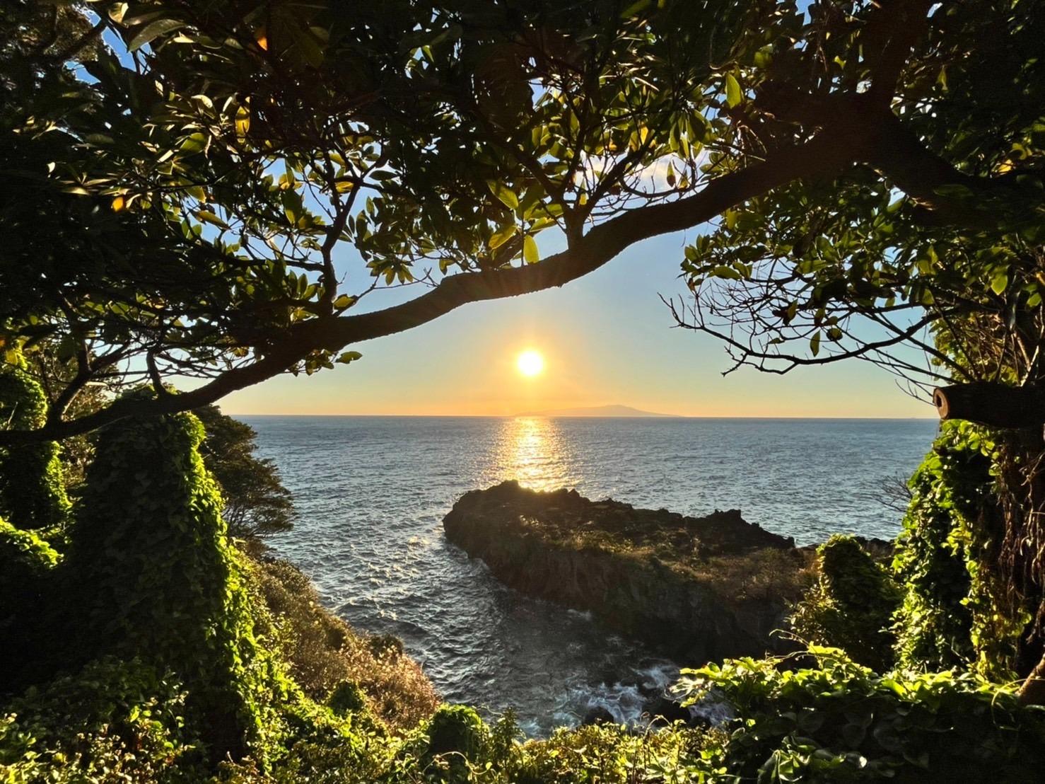 場外に出て1分でこの風景が！