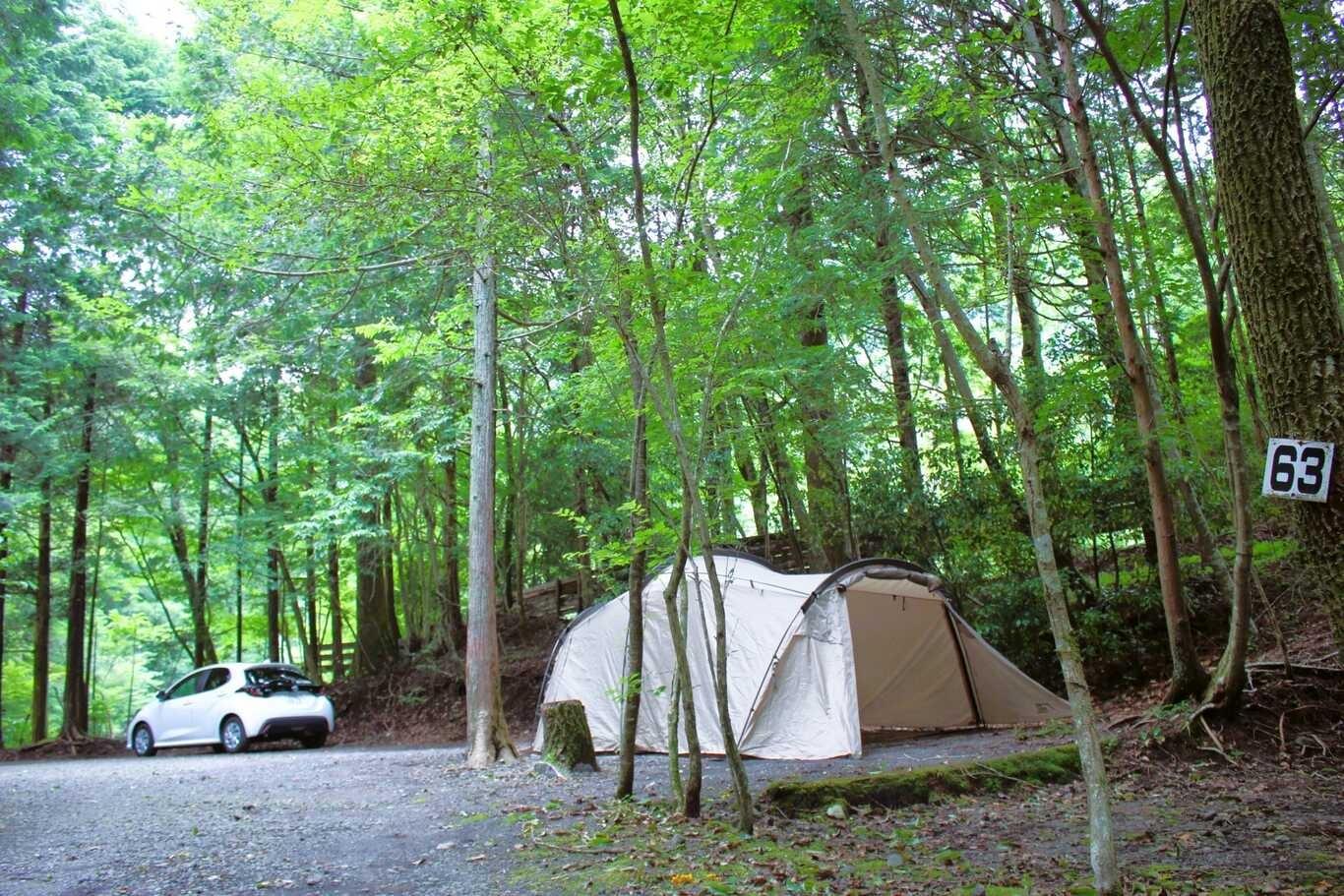 少しゆったり森林オートキャンプサイトの例：62サイト