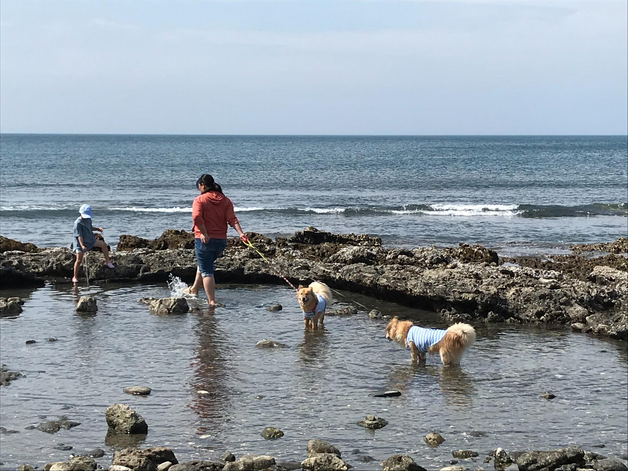 ・海まで徒歩0分の好立地！お散歩がてら海水浴はいかがでしょうか？