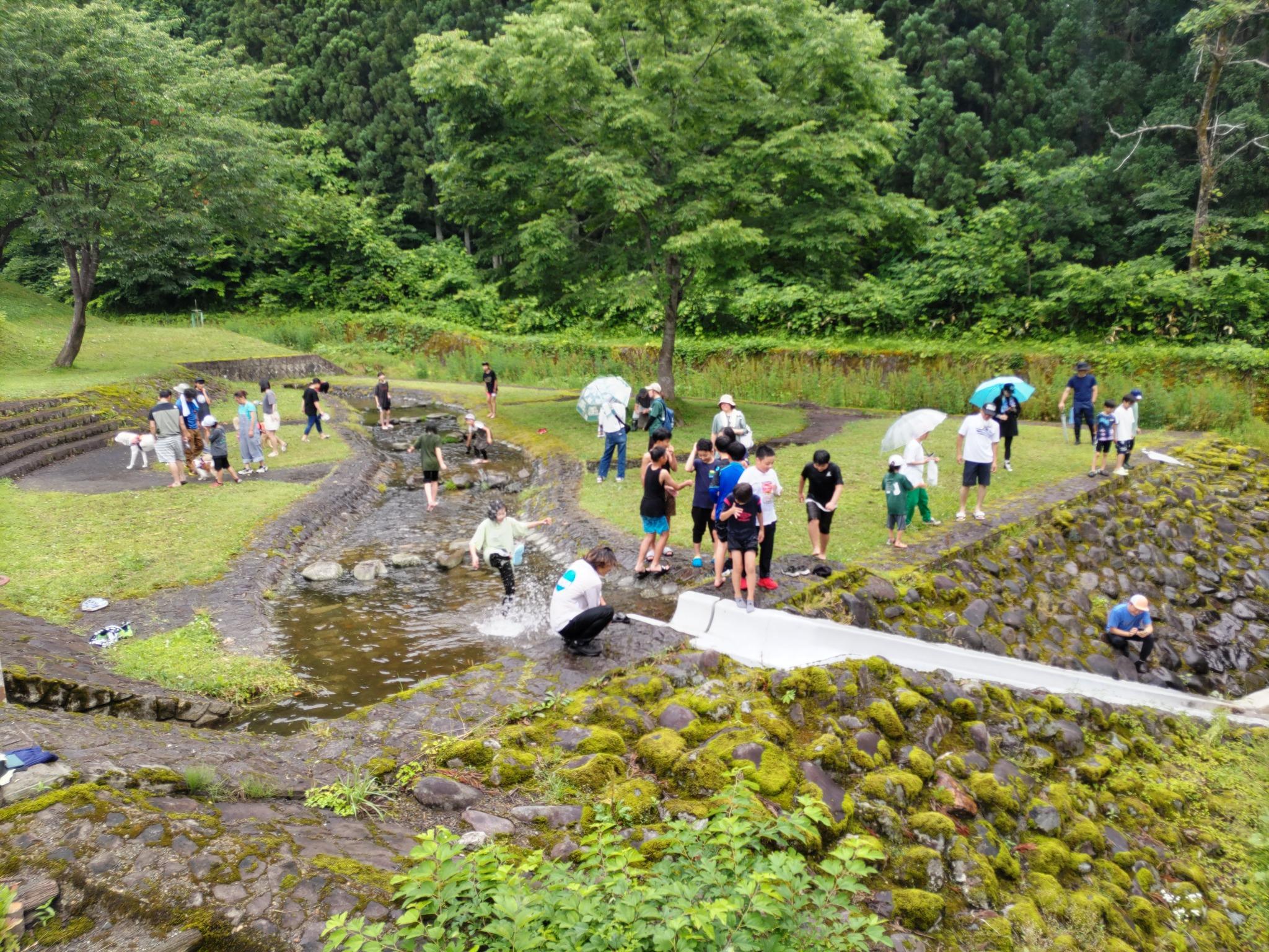 小川のある緑地サイト