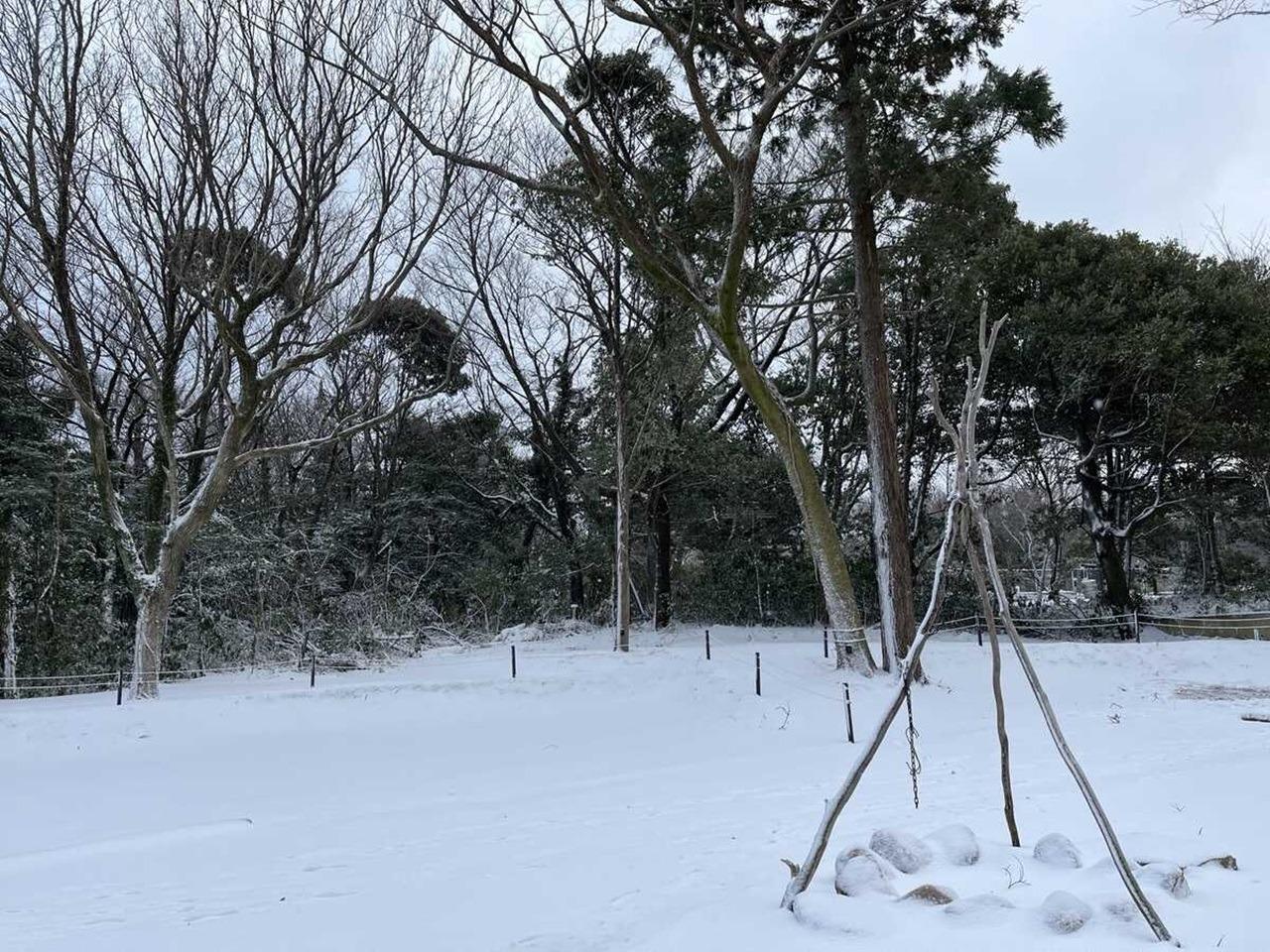 雪中キャンプも楽しめます