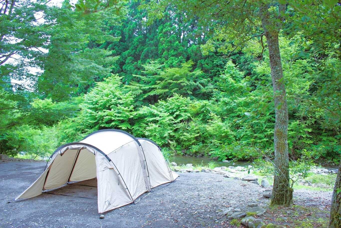 広々AC付きオートキャンプサイトの例：81サイト