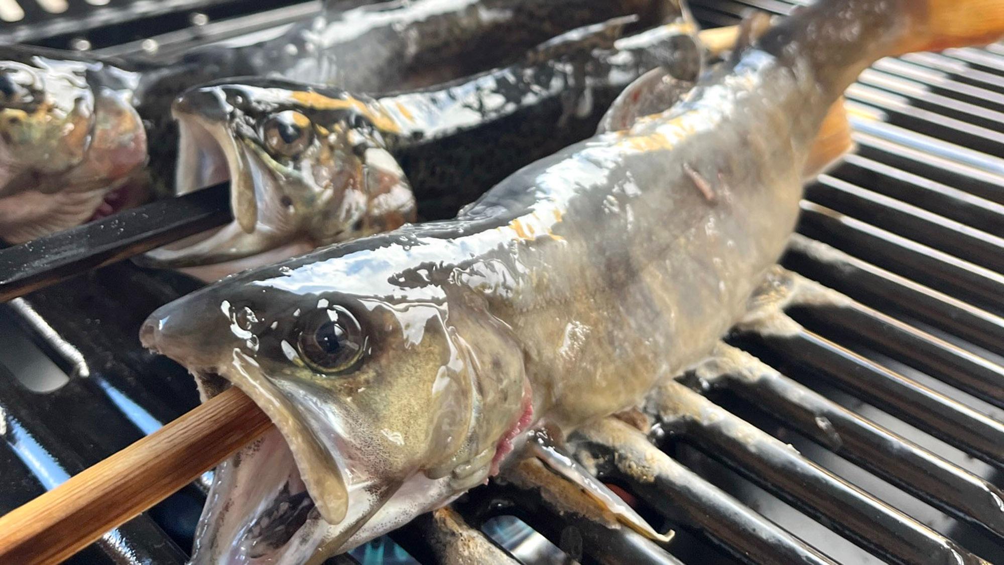 ・【釣り】自分で釣った魚にかぶりつき味わう、貴重な体験も可能です