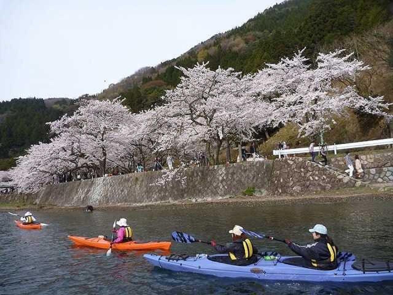 海津大崎へお花見カヤックツーリング！