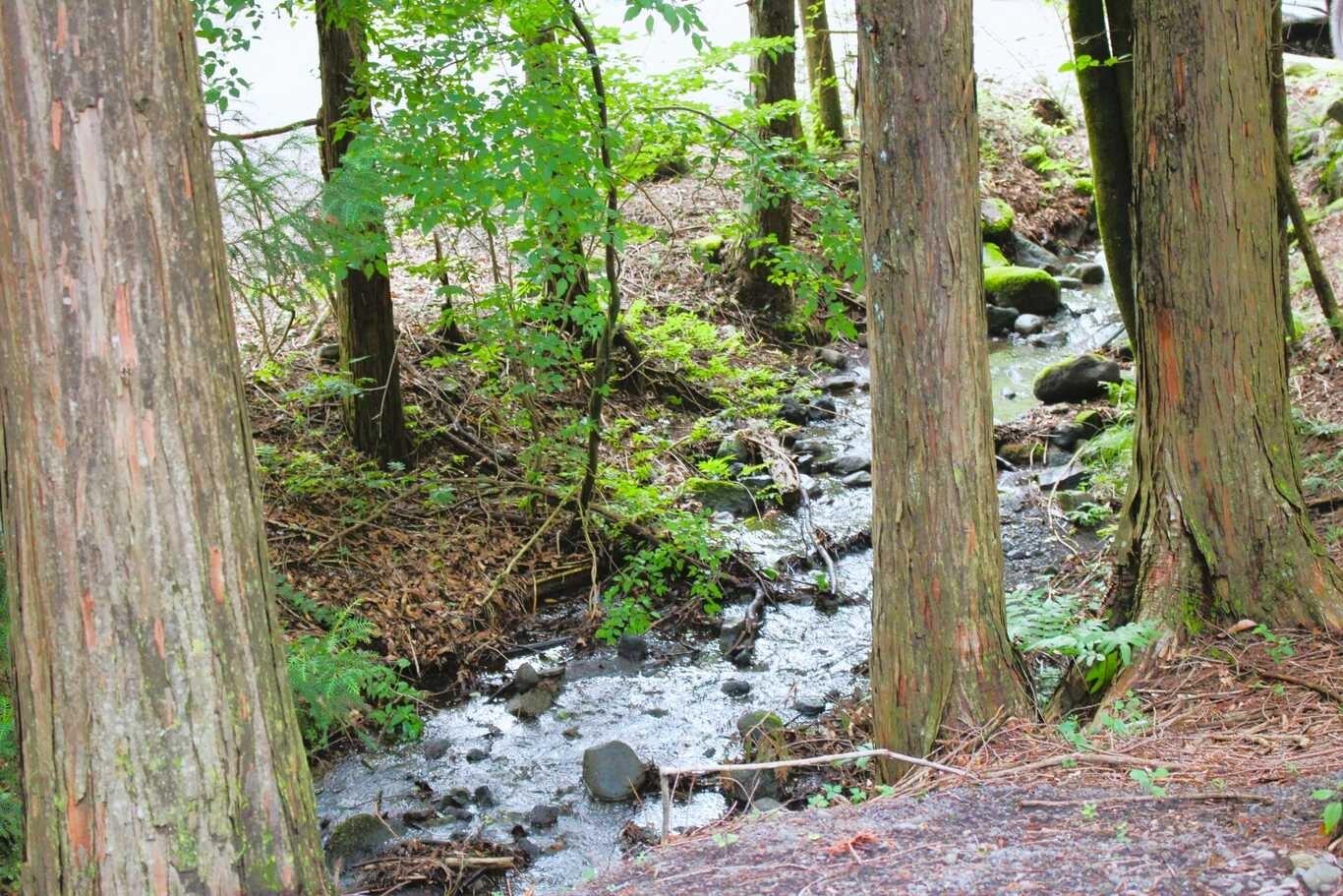 基本的には穏やかな流れです。