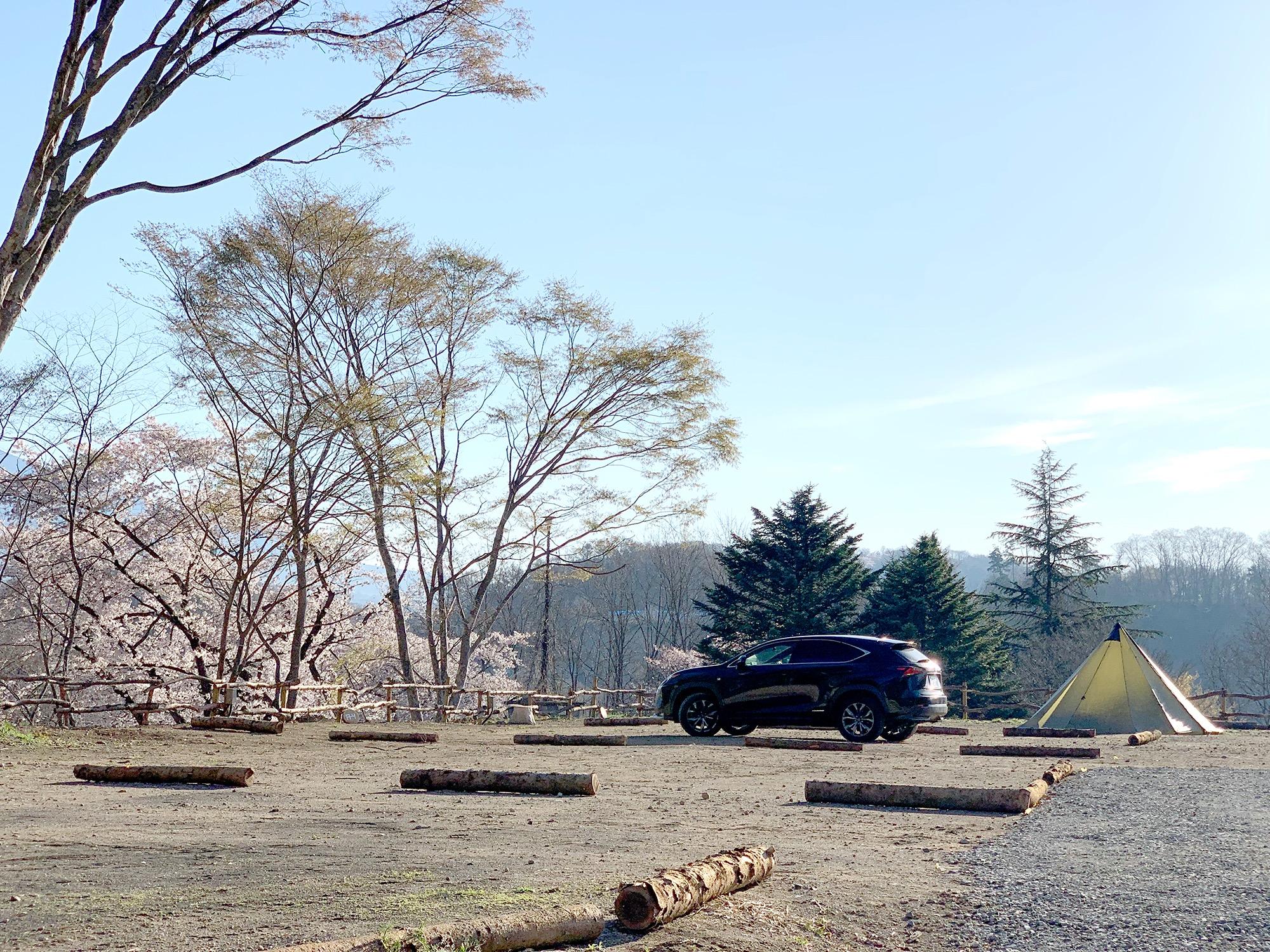 桜の時期には浅間山と桜のコラボレーションお花見キャンプもできます！