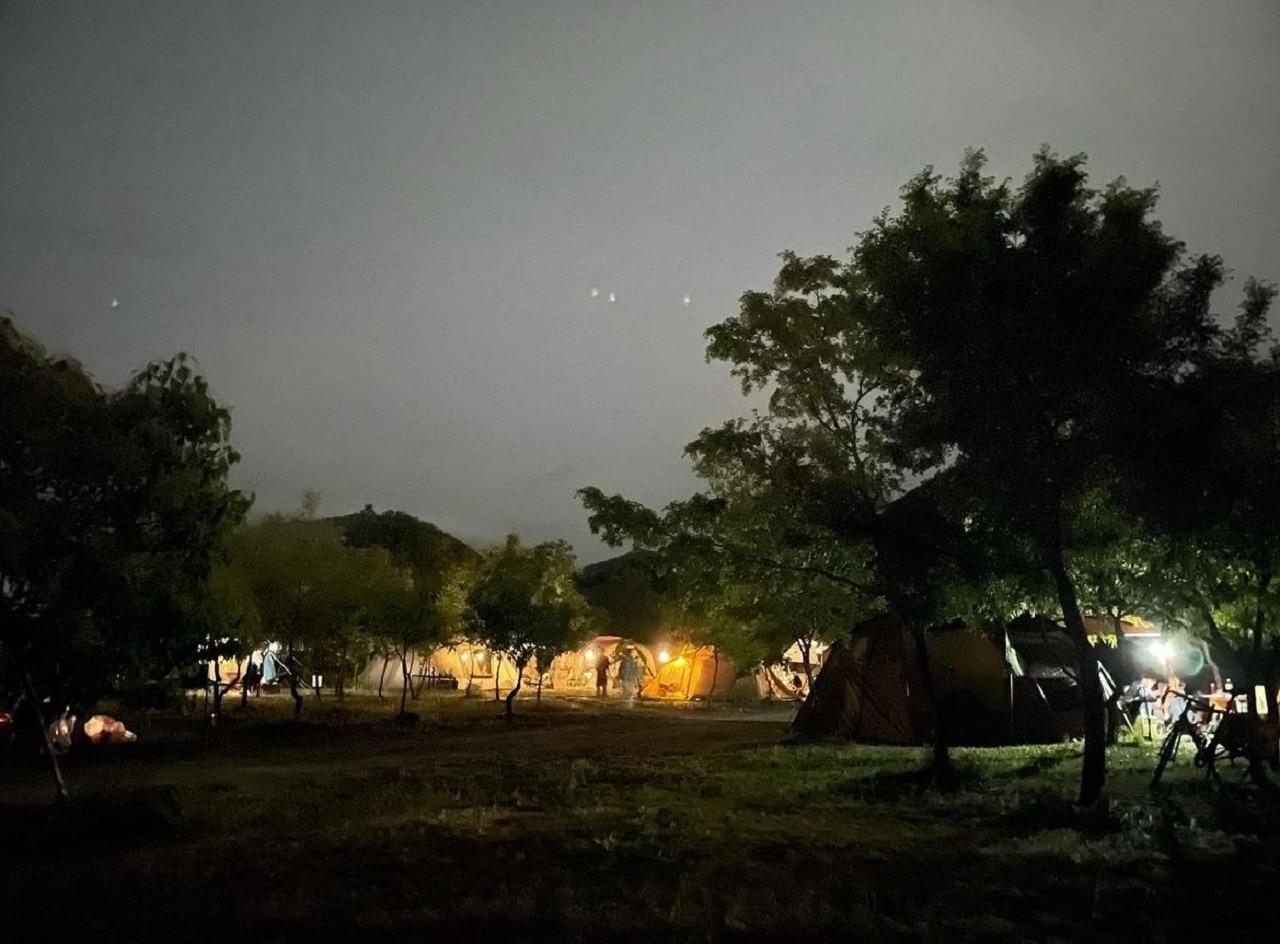 キャンプ場夜の風景