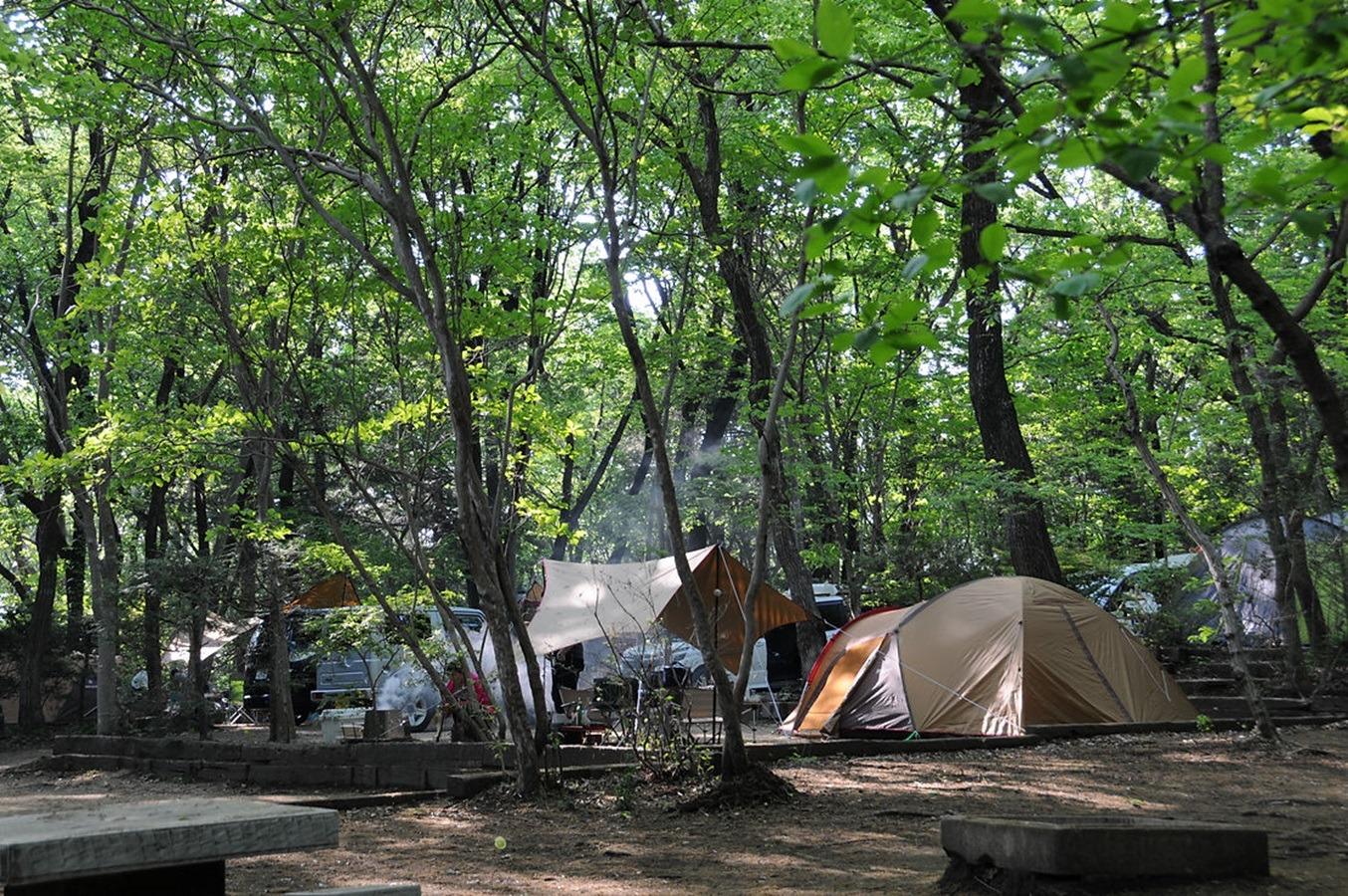 キャンプ風景②