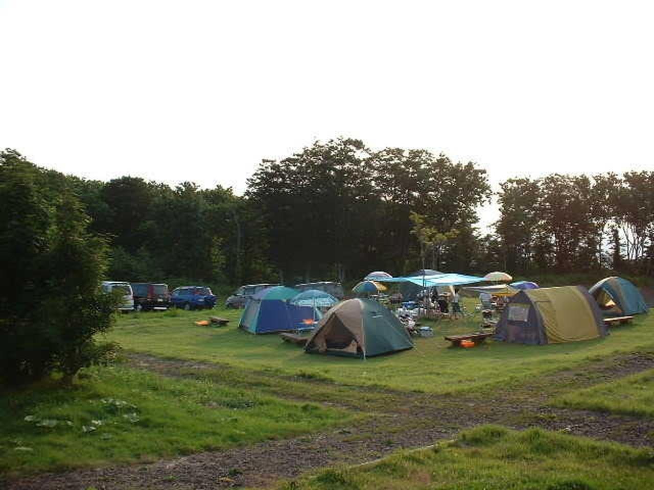 全面芝生のフリーサイト