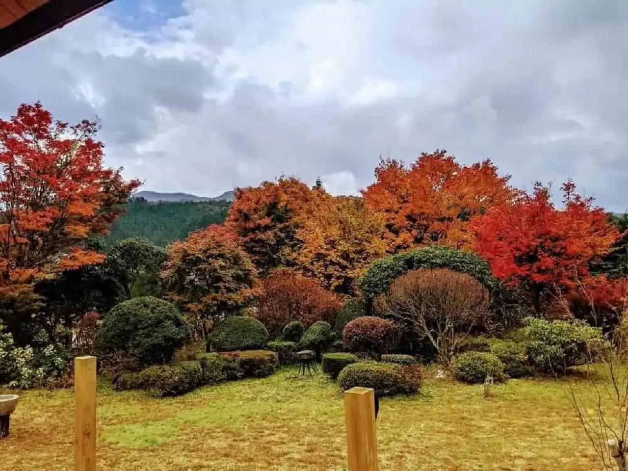 お庭の紅葉