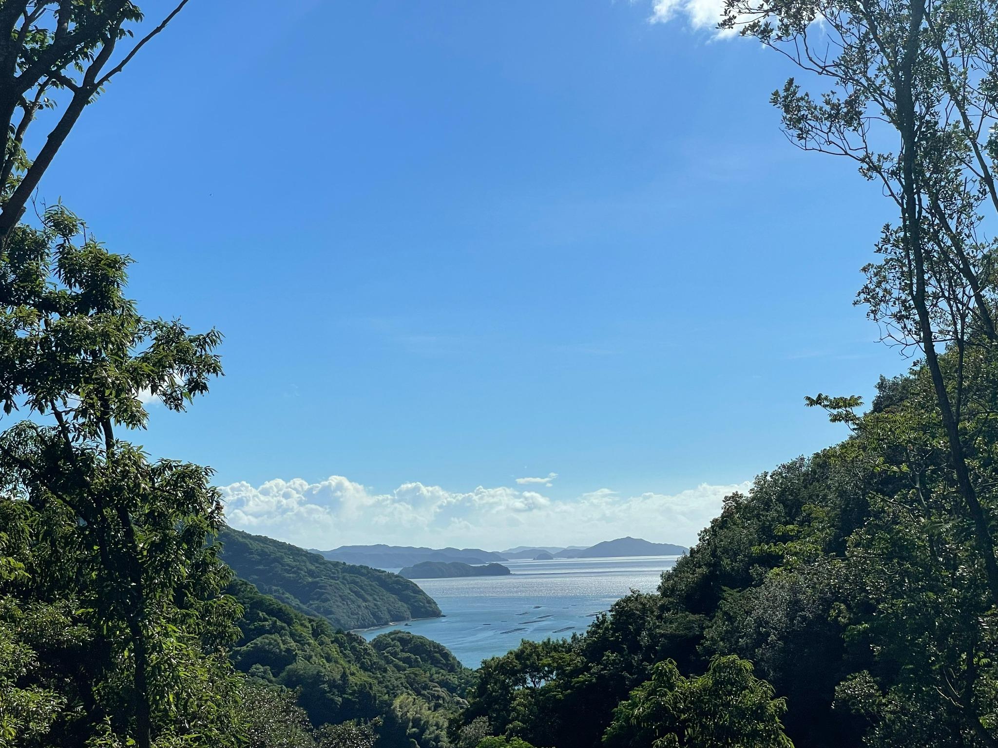 キャンプ場からの景色