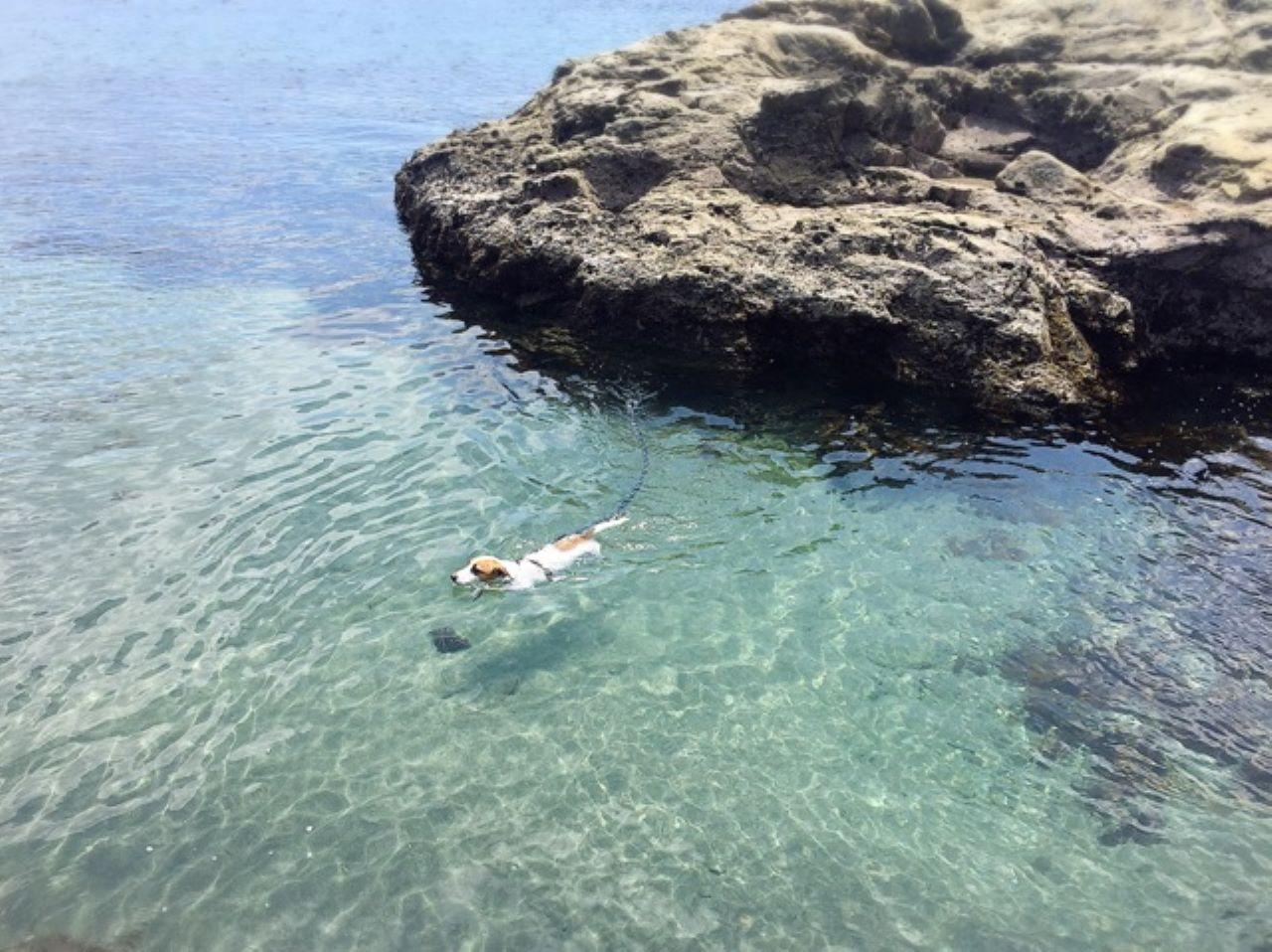 目の前の海は透明度バツグン！