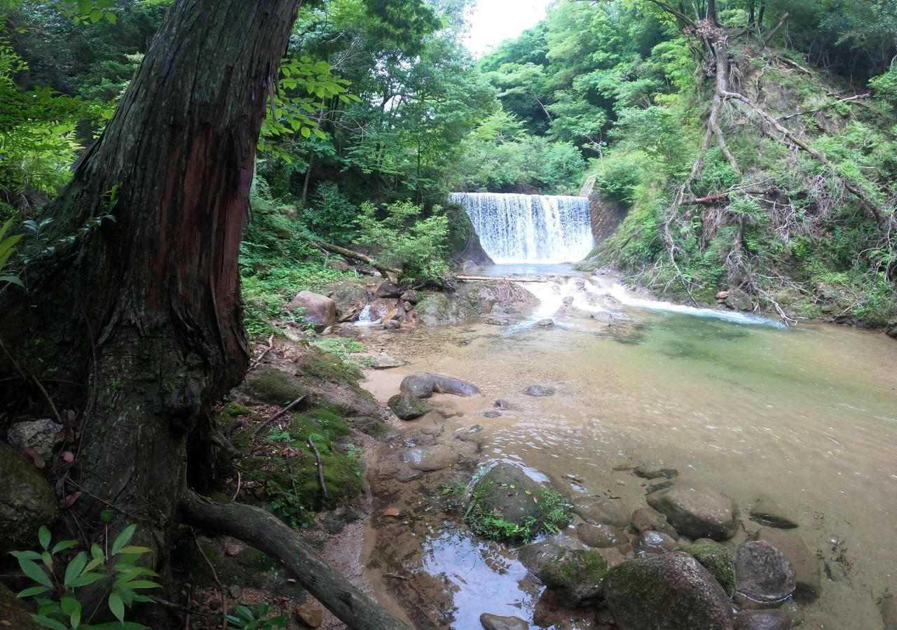 キャンプ場内の川