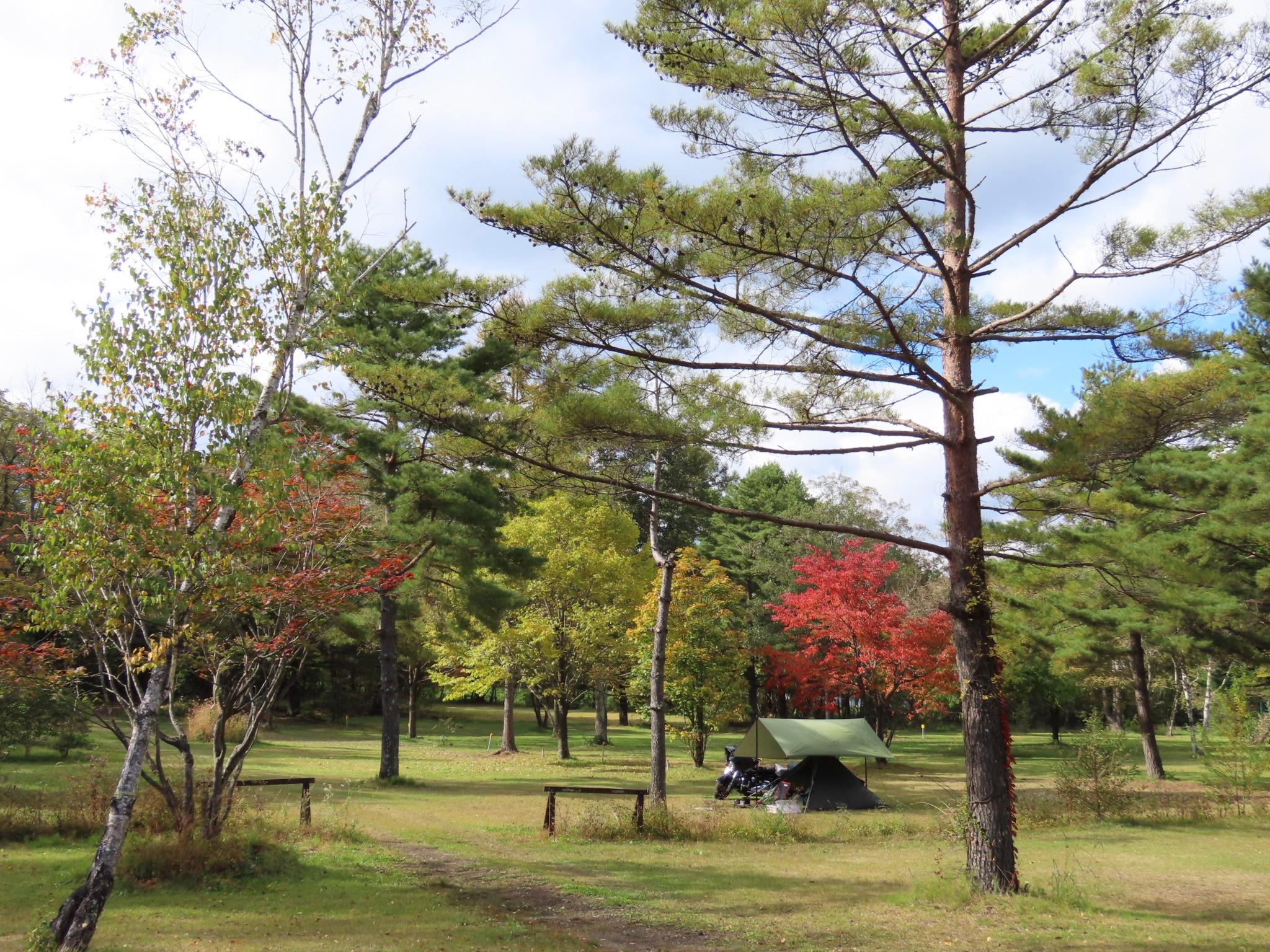 秋の紅葉（10月中旬〜下旬ごろ）