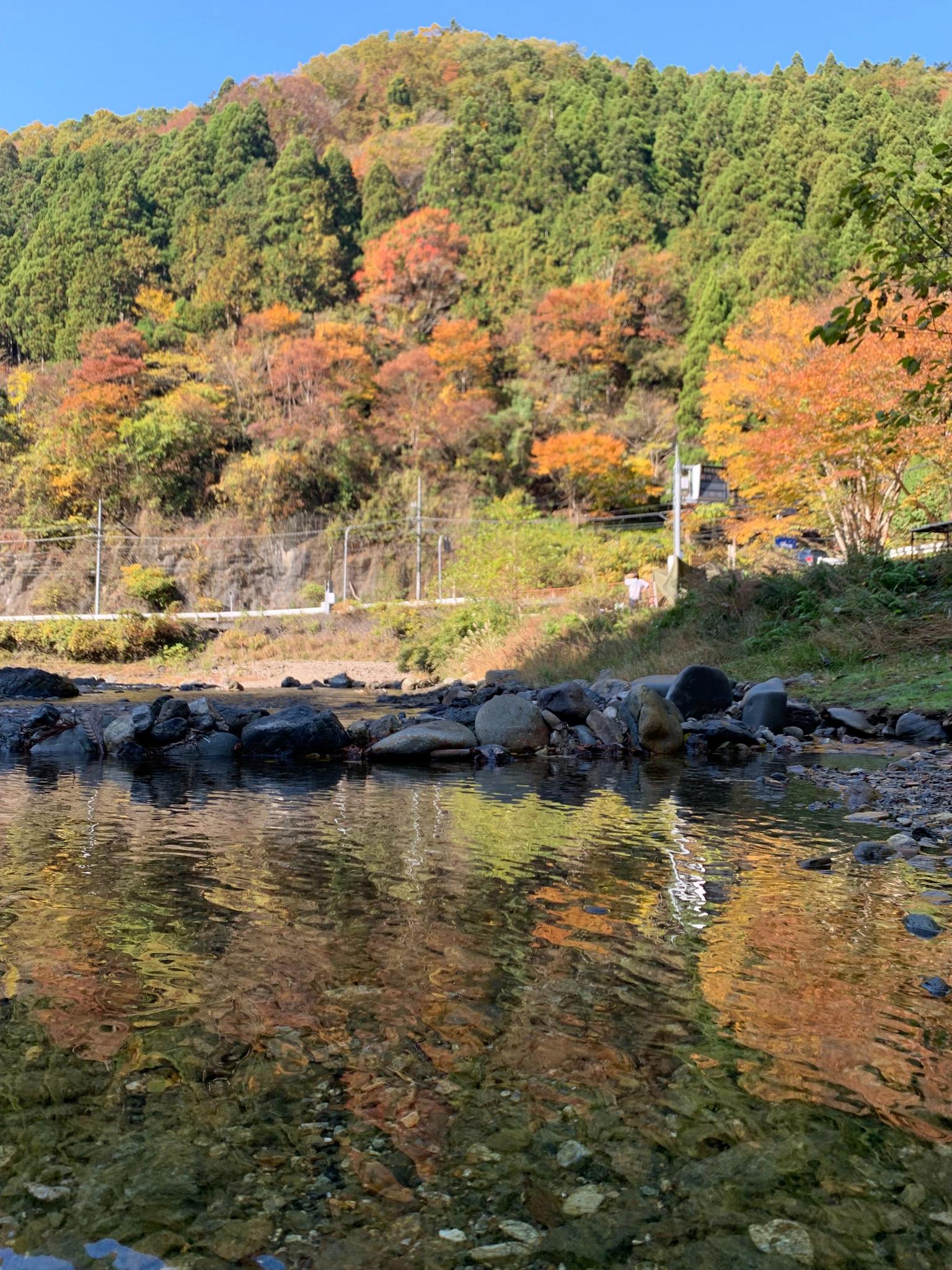 令和5年11月5日の紅葉具合です。