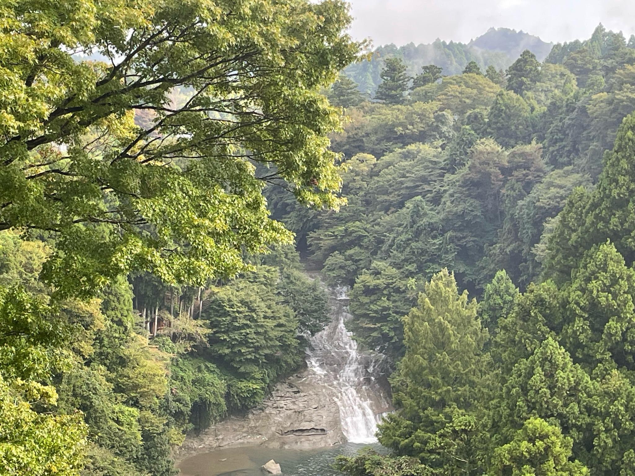 お勧めすぽっと⑥　養老渓谷と上総養老の滝（粟又の滝）紅葉の時期が特に人気です。