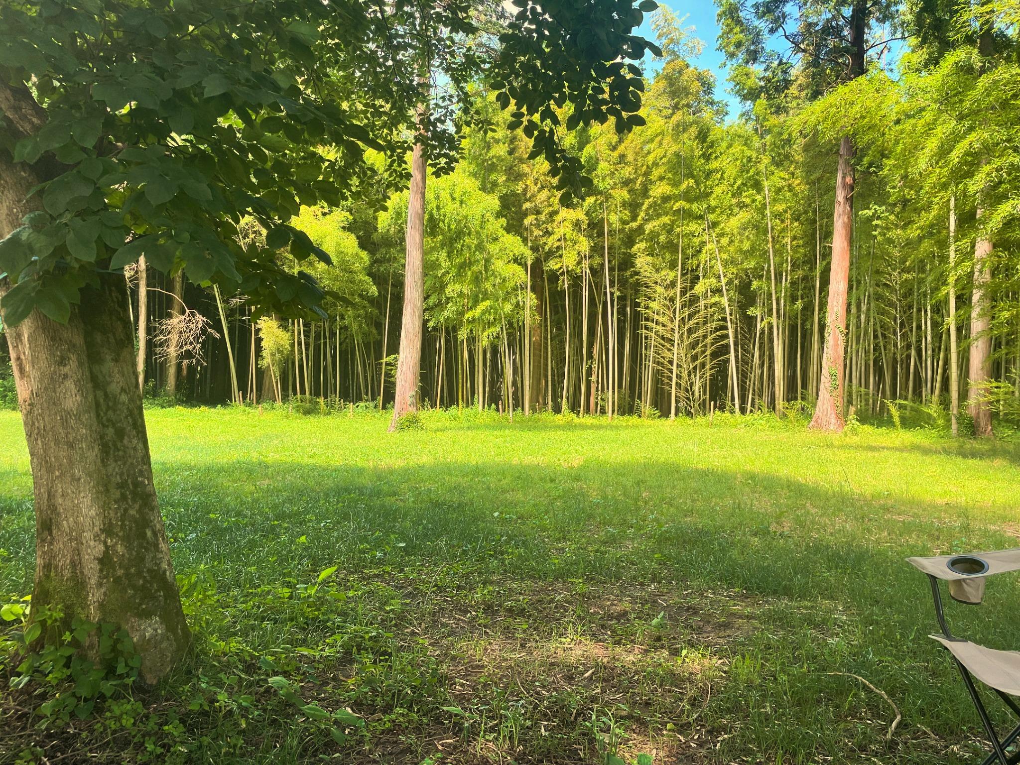 木陰が涼しく日差しが柔らか（14時）