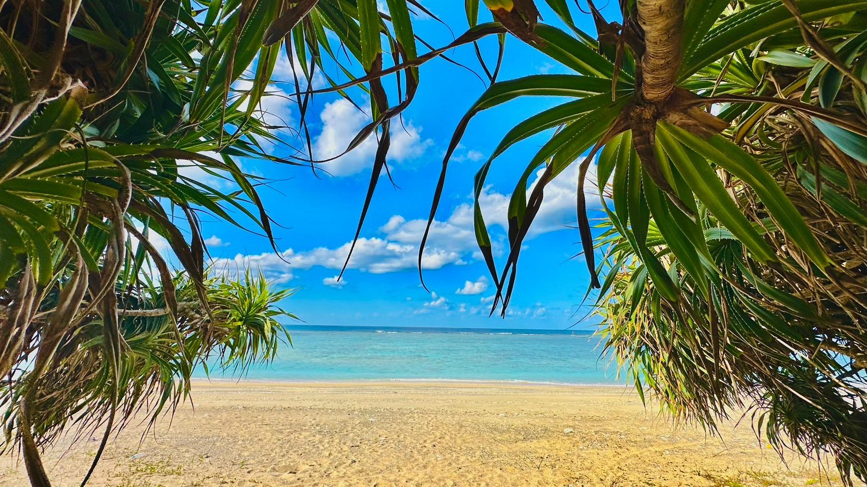 海まで徒歩０秒　オーシャンビュー