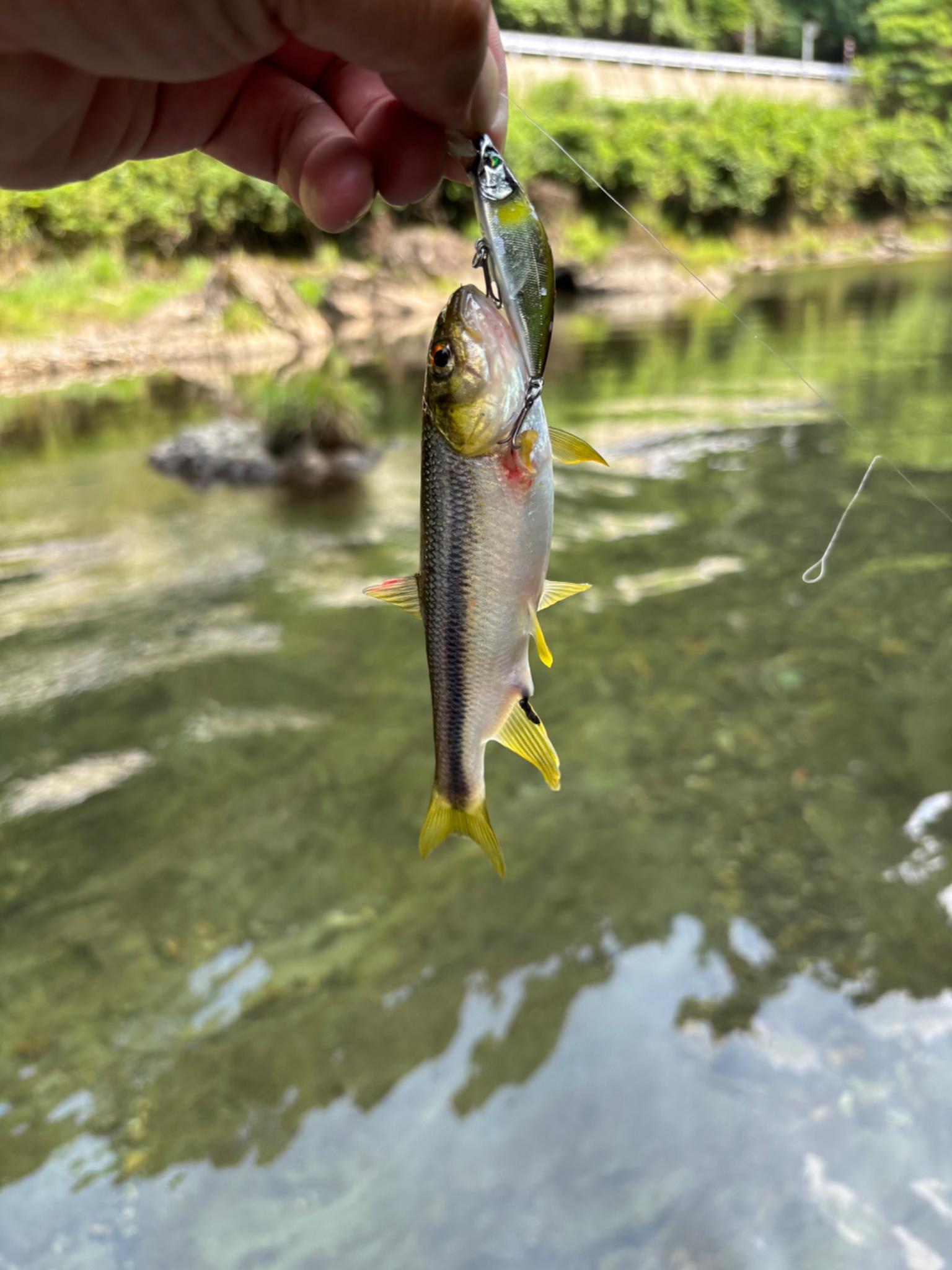 チャビングも出来ます！