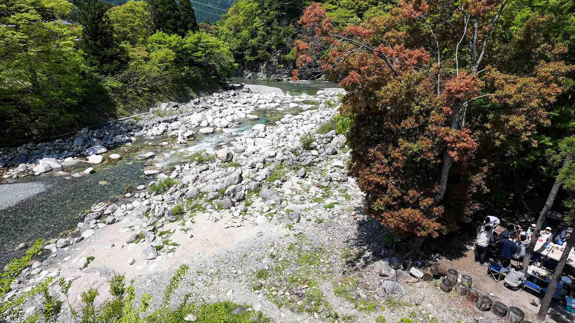 ・【周辺・神崎川】季節が進むと色を変える木々など自然の移ろいを感じていただけます