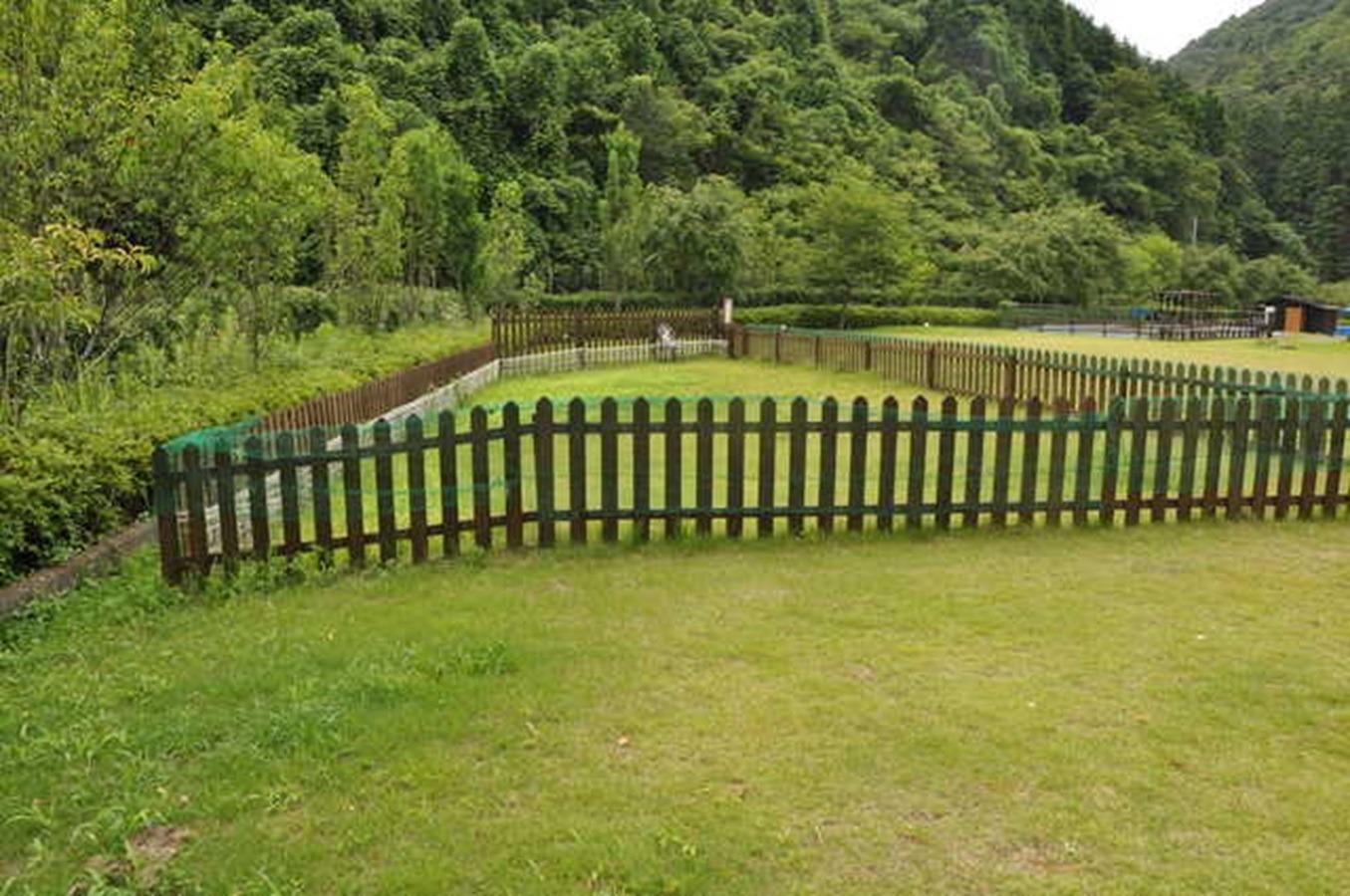 ドックランでかけっこできます。