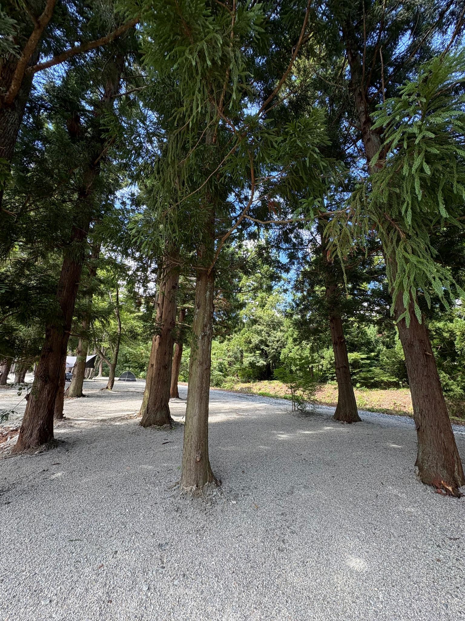 Camp場