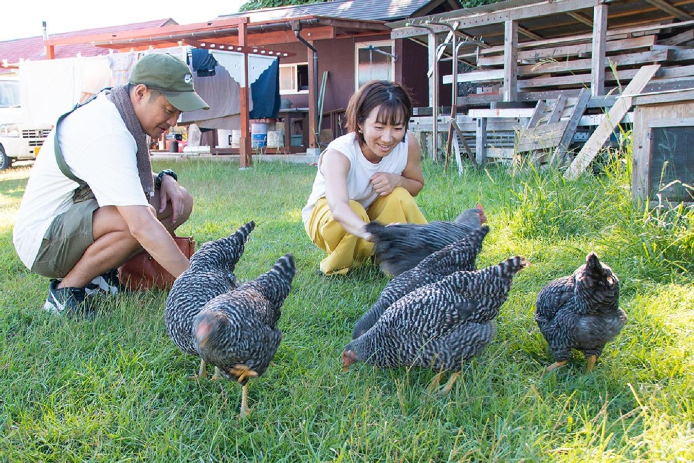 鶏たちへの餌やり体験♪