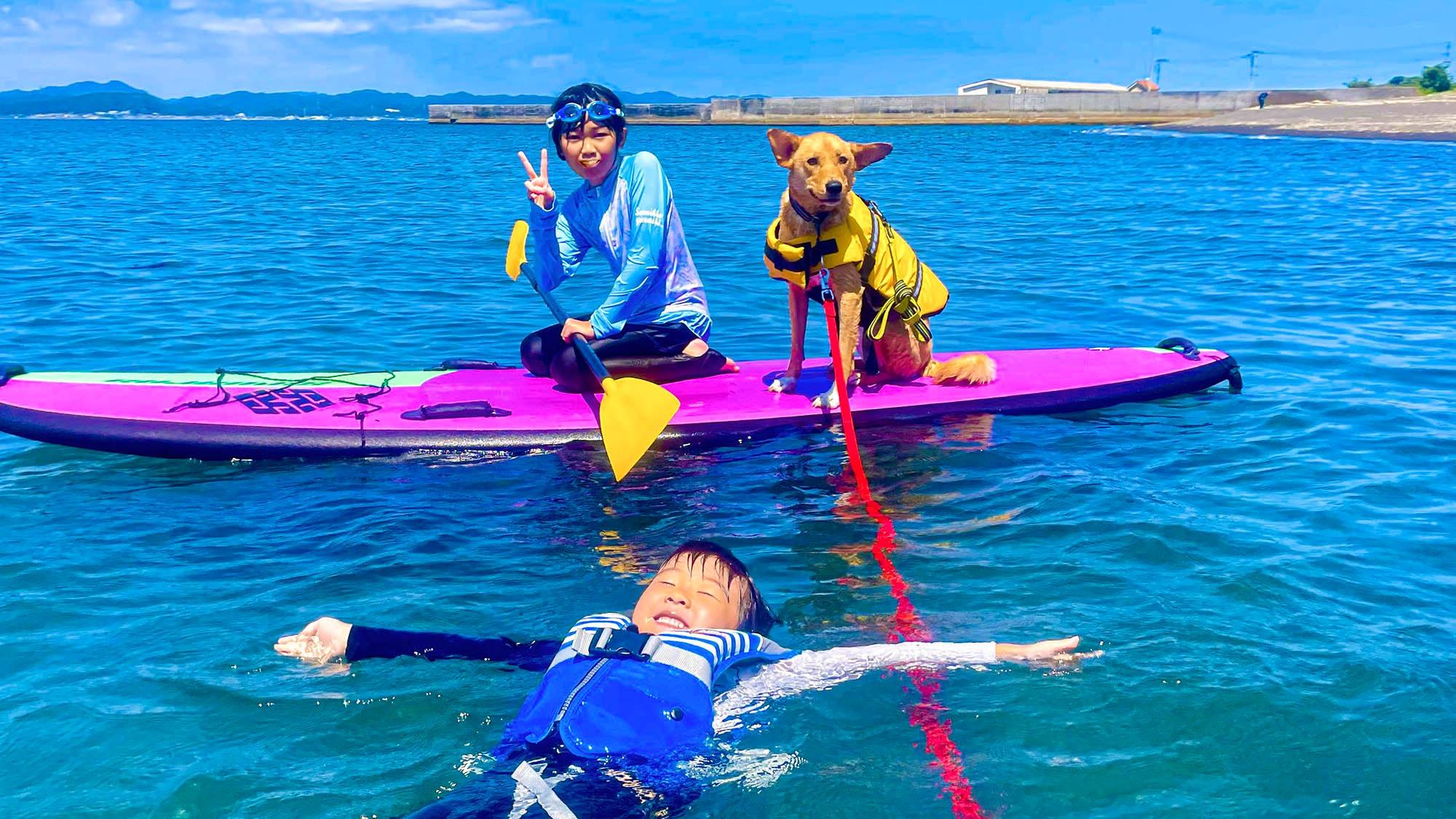 ・【Dog SUP】ご家族で愛犬との最高の思い出を！