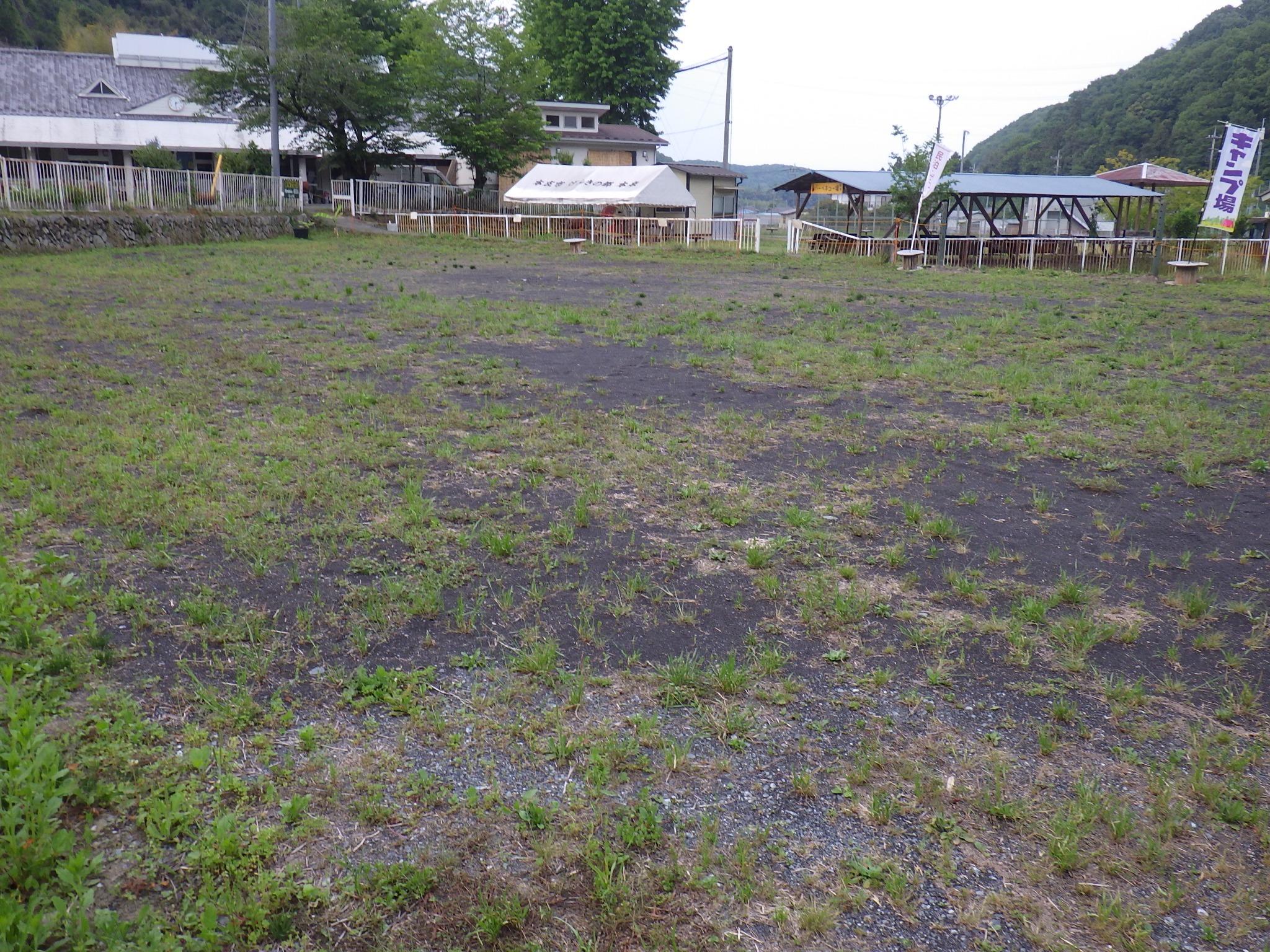 貸切キャンプ場風景　ドックラン付き