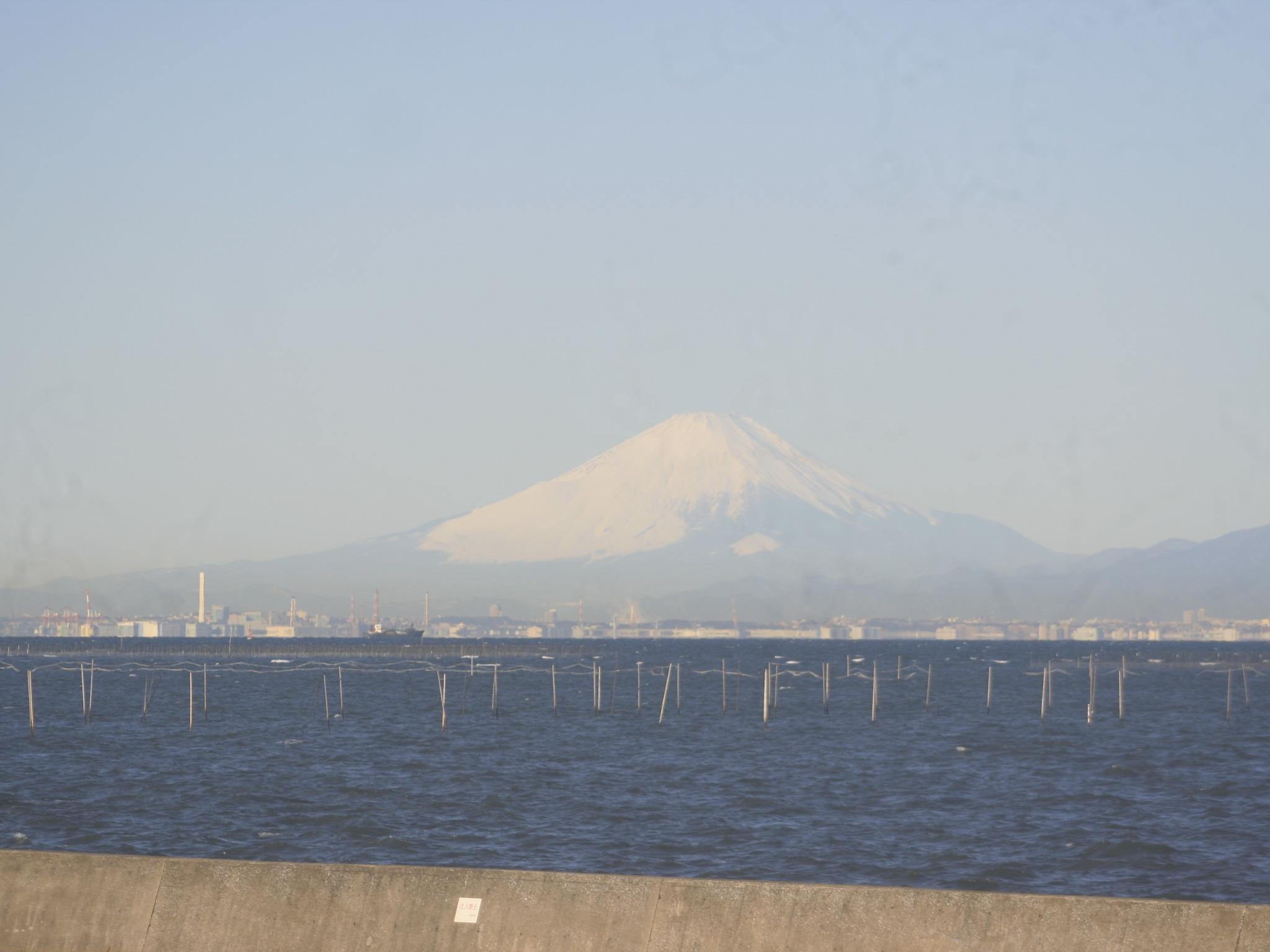 冬の澄んだ日には海越しに富士山が望めることも