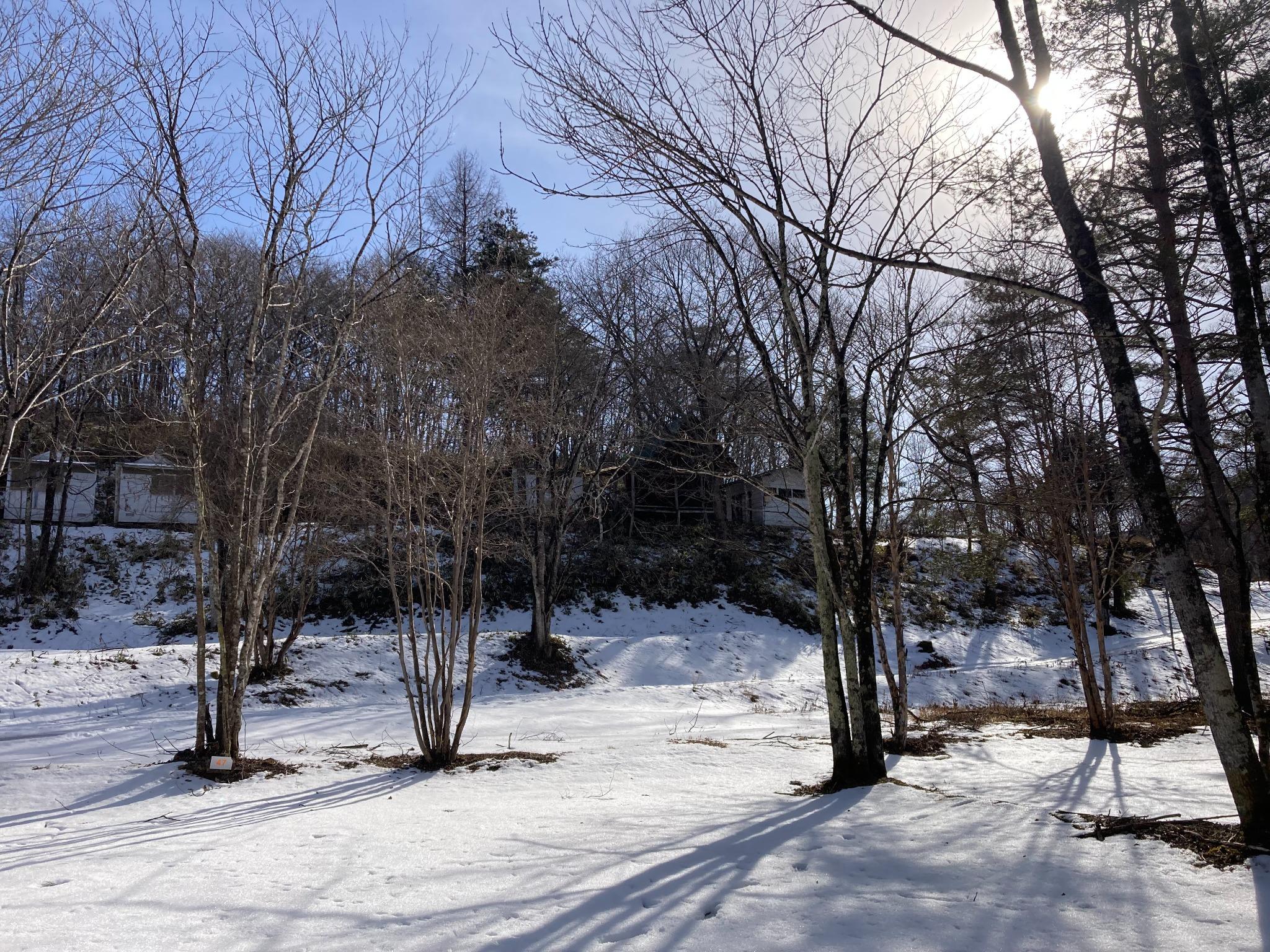 冬場の場内の雰囲気になります。積雪量はタイミングによって変化します。通常は20～30センチくらい積もっていることが多いですが、天候と気温によって変更します。