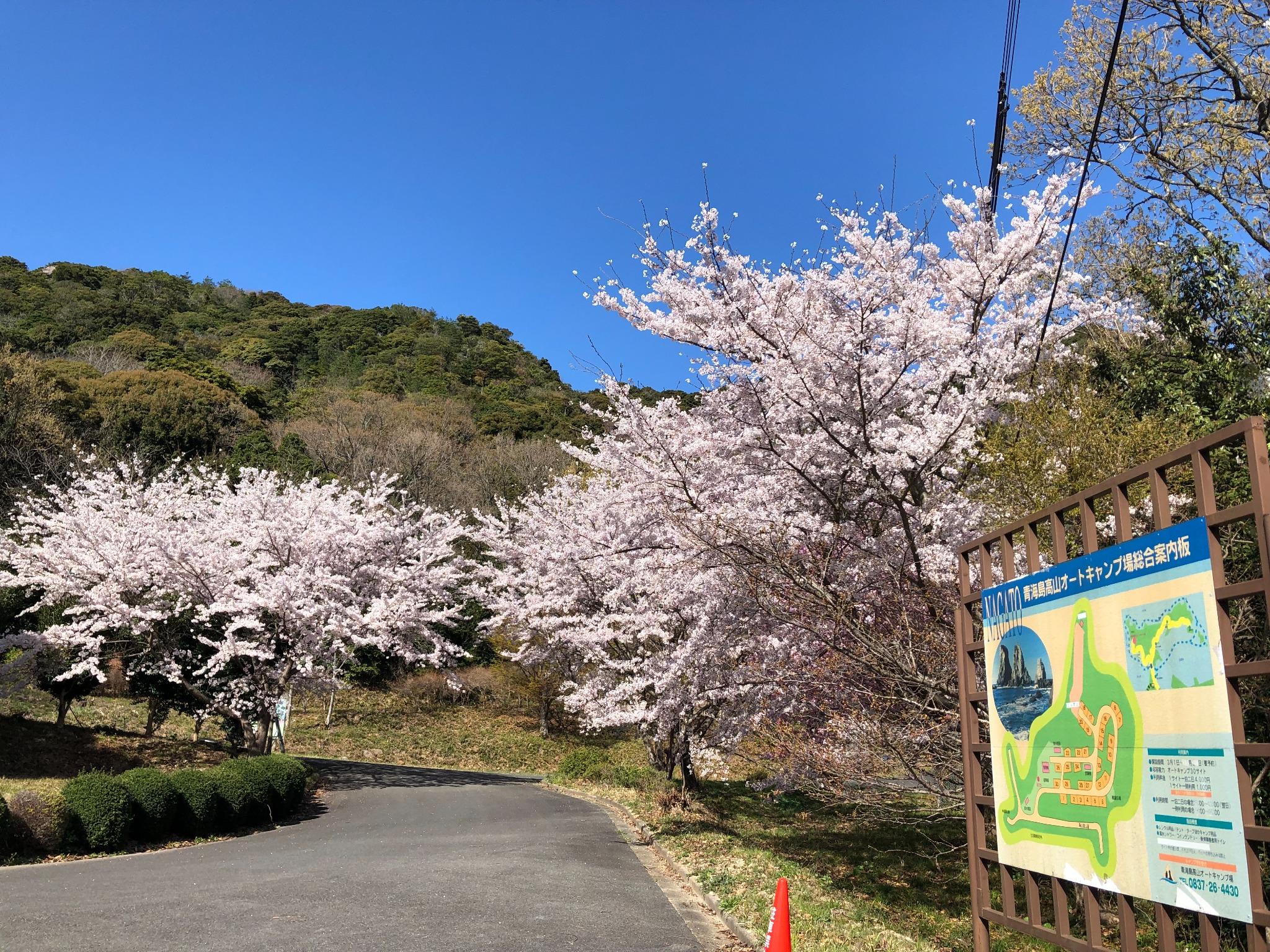 入場口：2022年4月1日現在