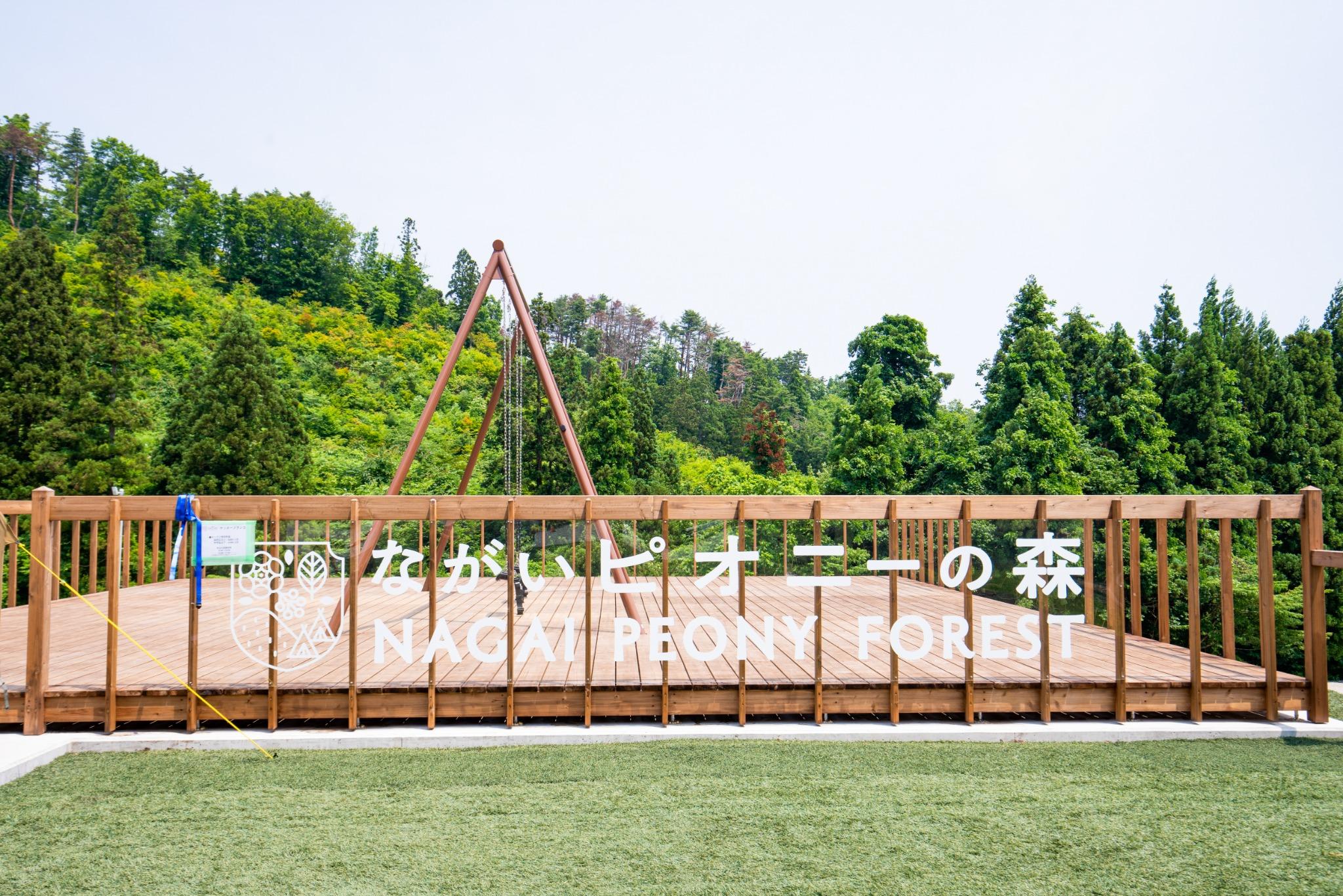 ヤッホーブランコ