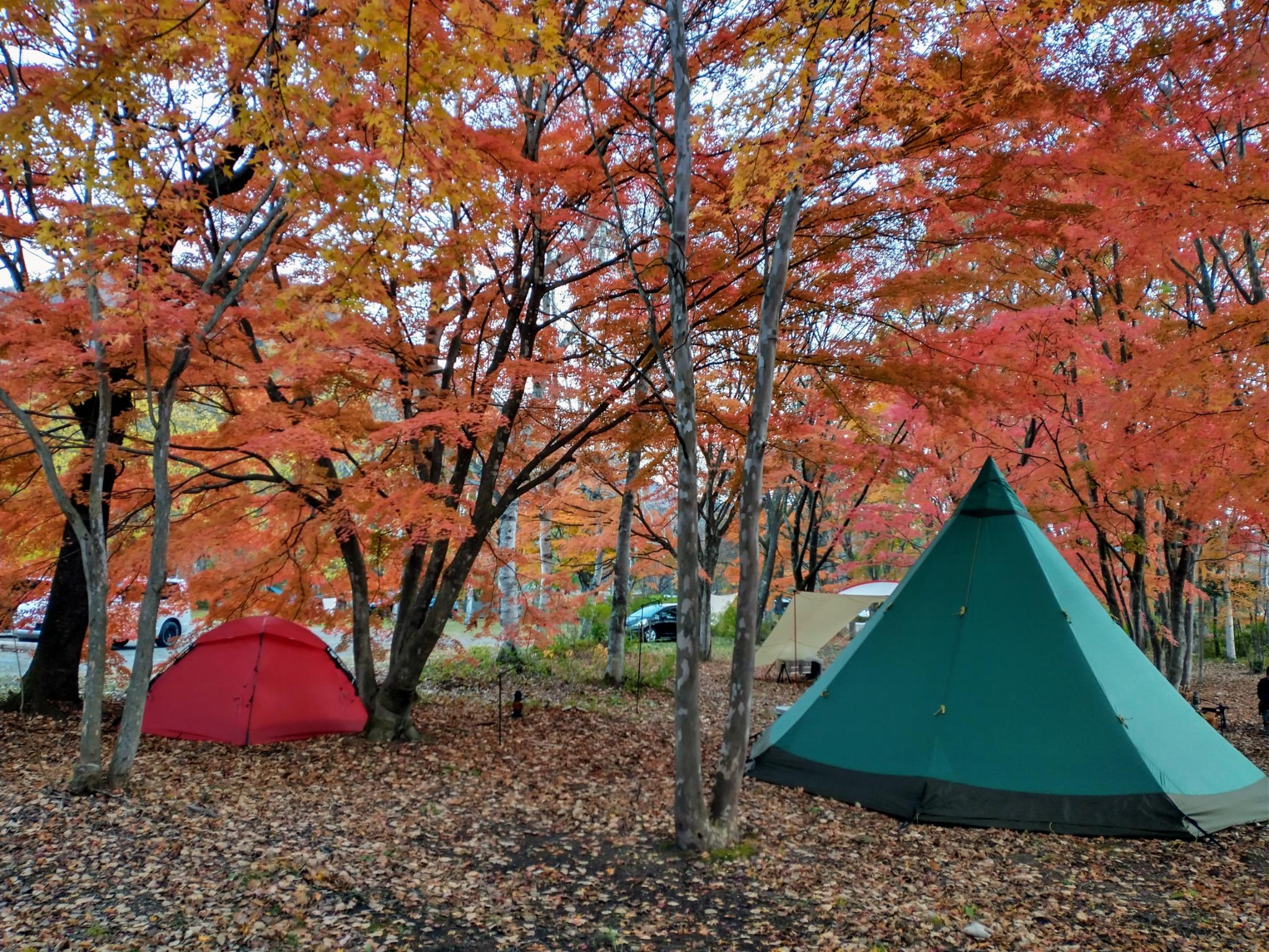 秋のキャンプ場