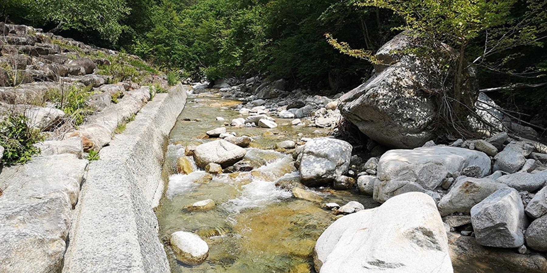 テントサイトの横を流れる虻川