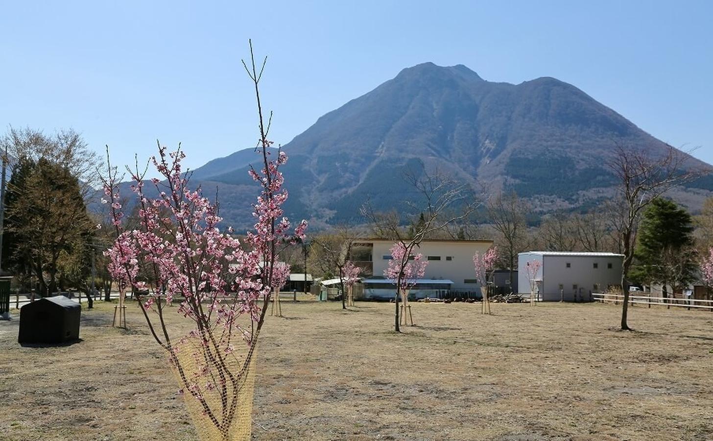 湯布院 塚原高原 AUTO VILLAGE（オートヴィレッジ）
