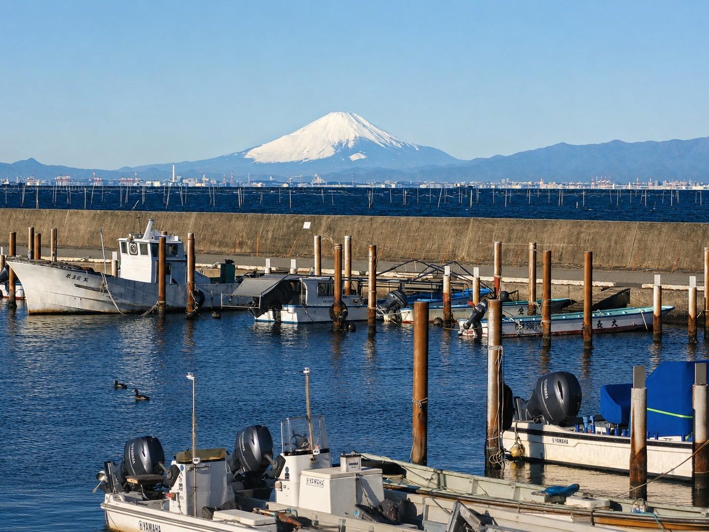 金田漁港と富士山（イメージ）