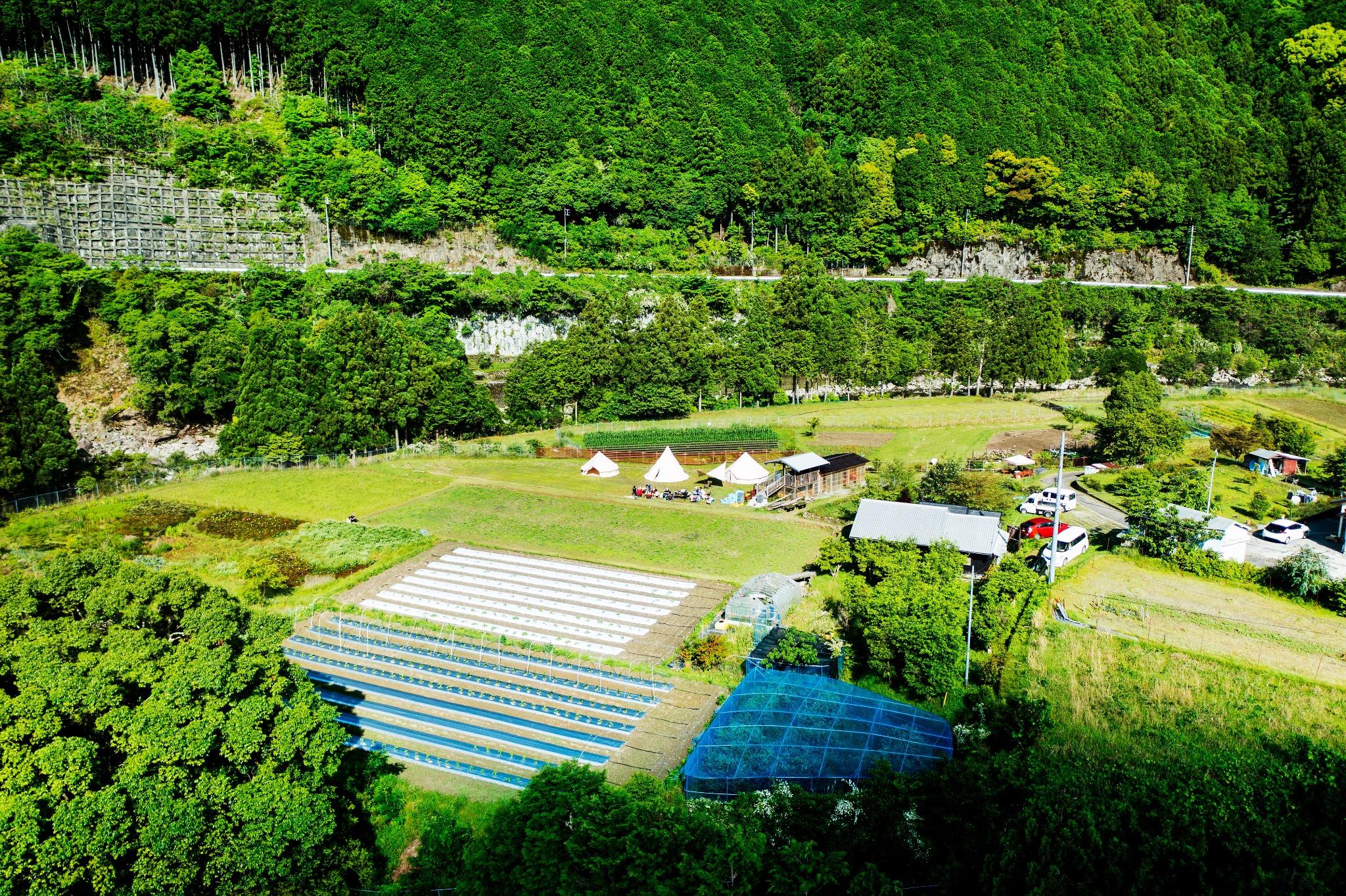 キャンプ場の周辺には川が流れており、川遊びをすることができます。