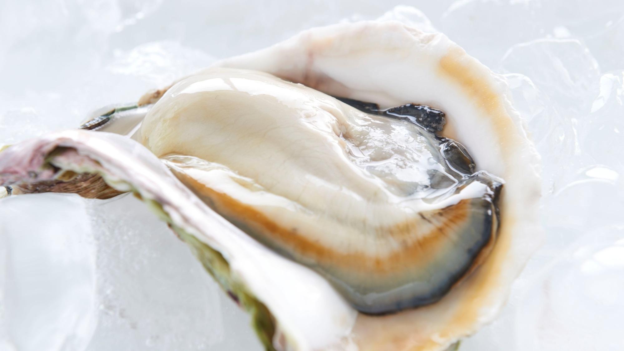 島のブランド岩牡蠣「春香」。ぷりっとした食感と濃厚な味わい。
