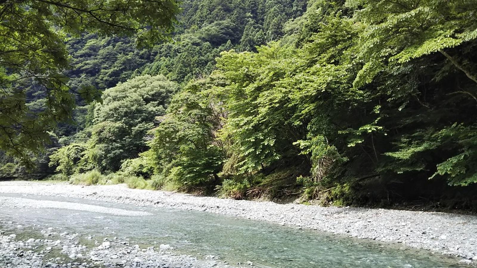 中津川の清流