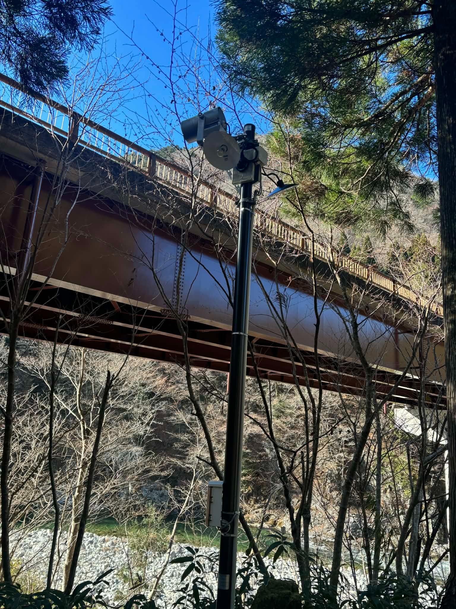 Cサイトに電灯増設しました