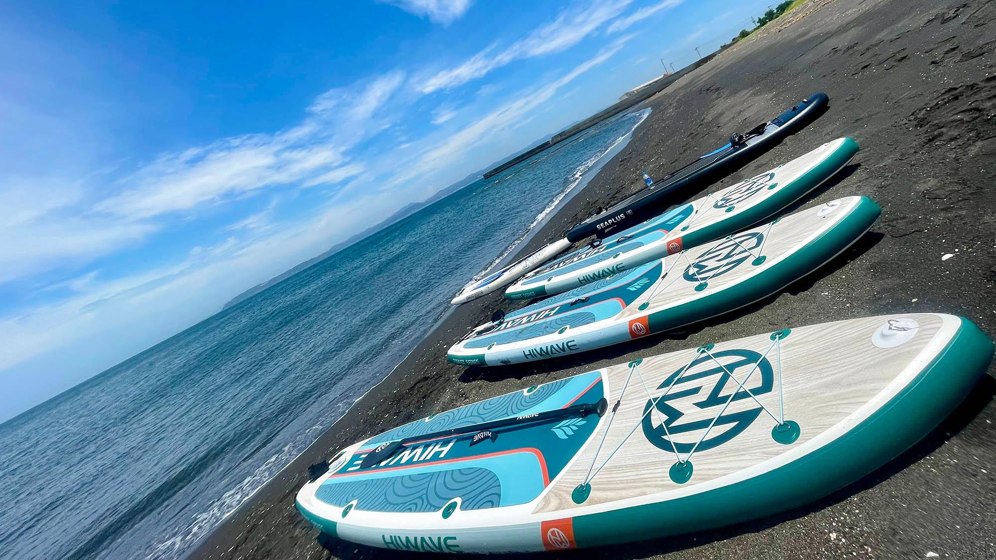 ・【Dog SUP】愛犬と絶景のマリンスポーツをお楽しみください