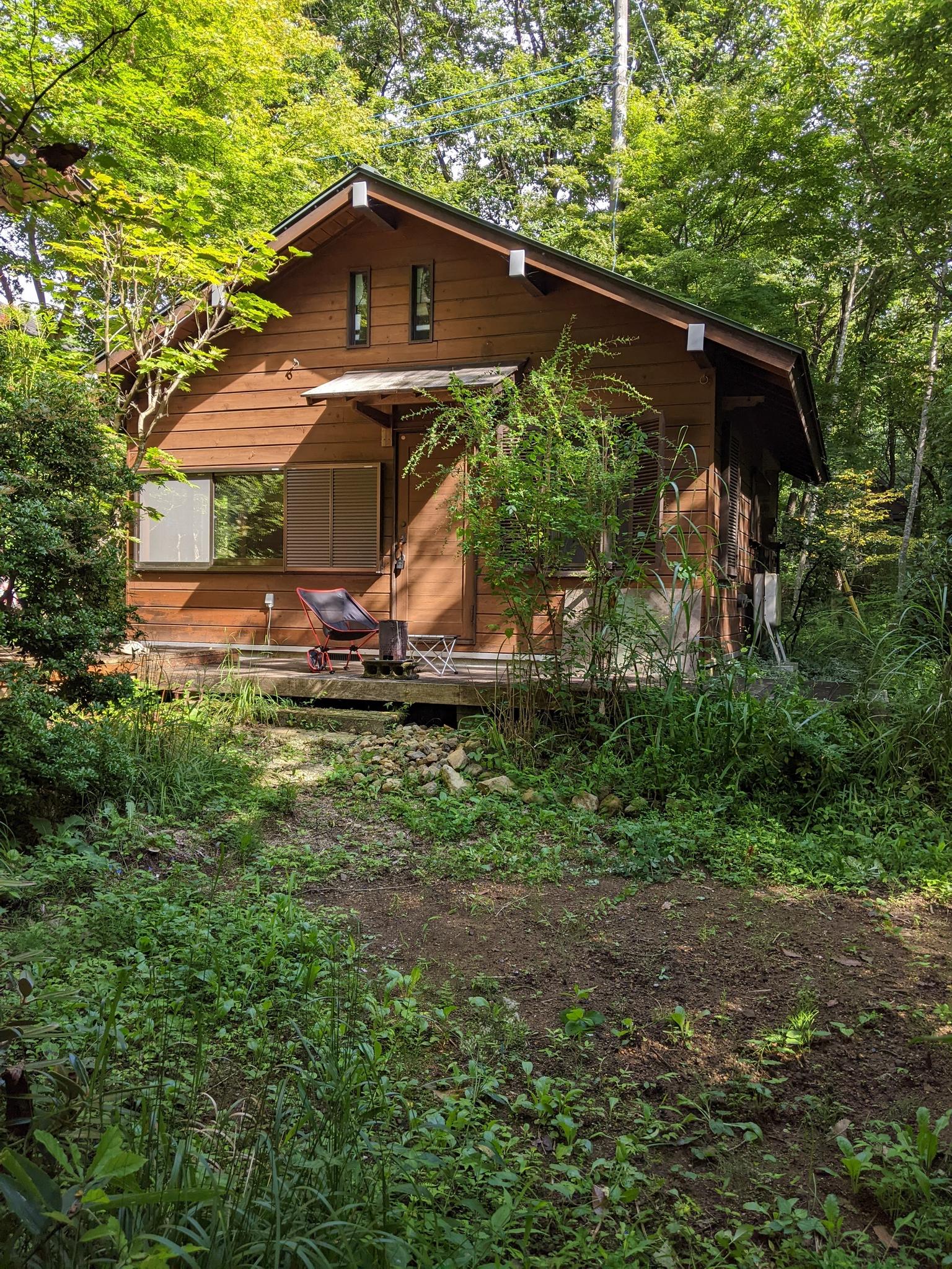 木立のなかに佇む小さな小屋です。