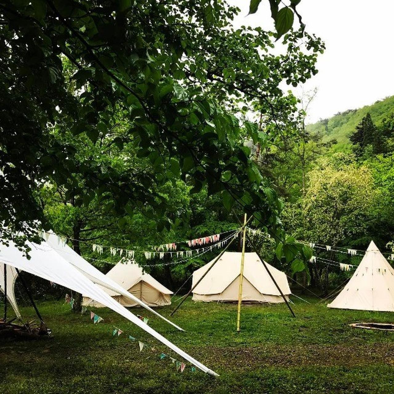 豊かな森の中でご宿泊ください♪