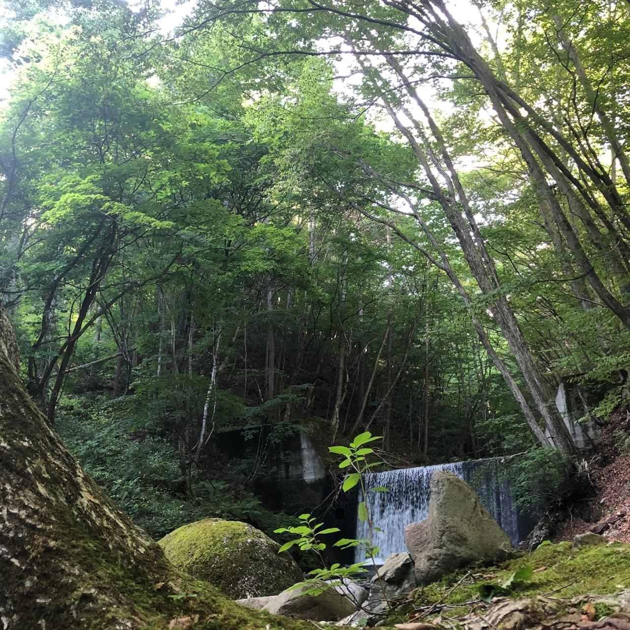 場内を流れる薄根川源流部　大堰堤