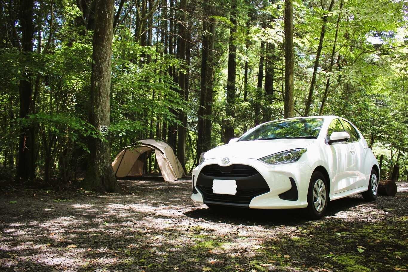 少しゆったり森林オートキャンプサイトの例：36サイト