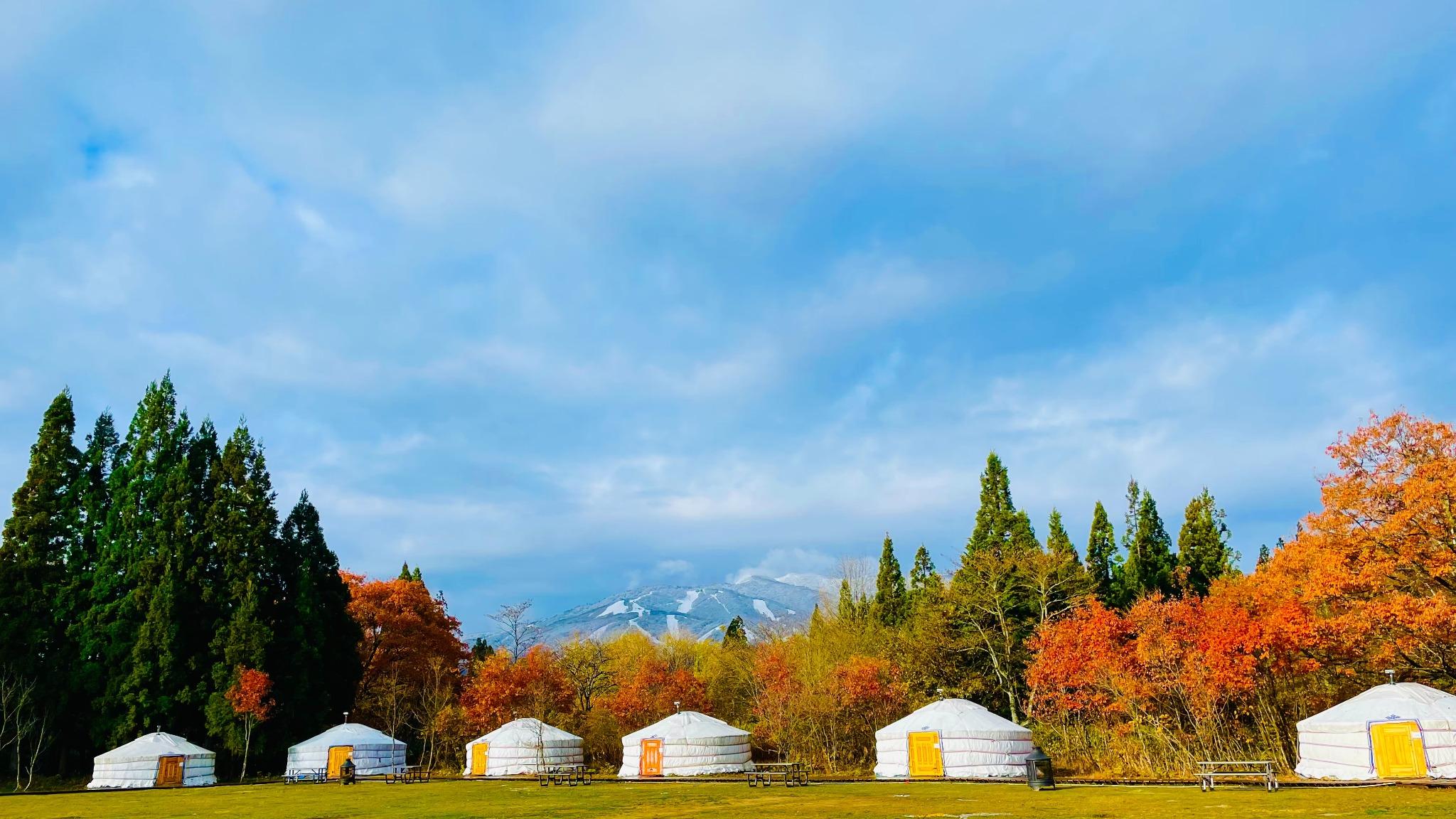 紅葉シーズン